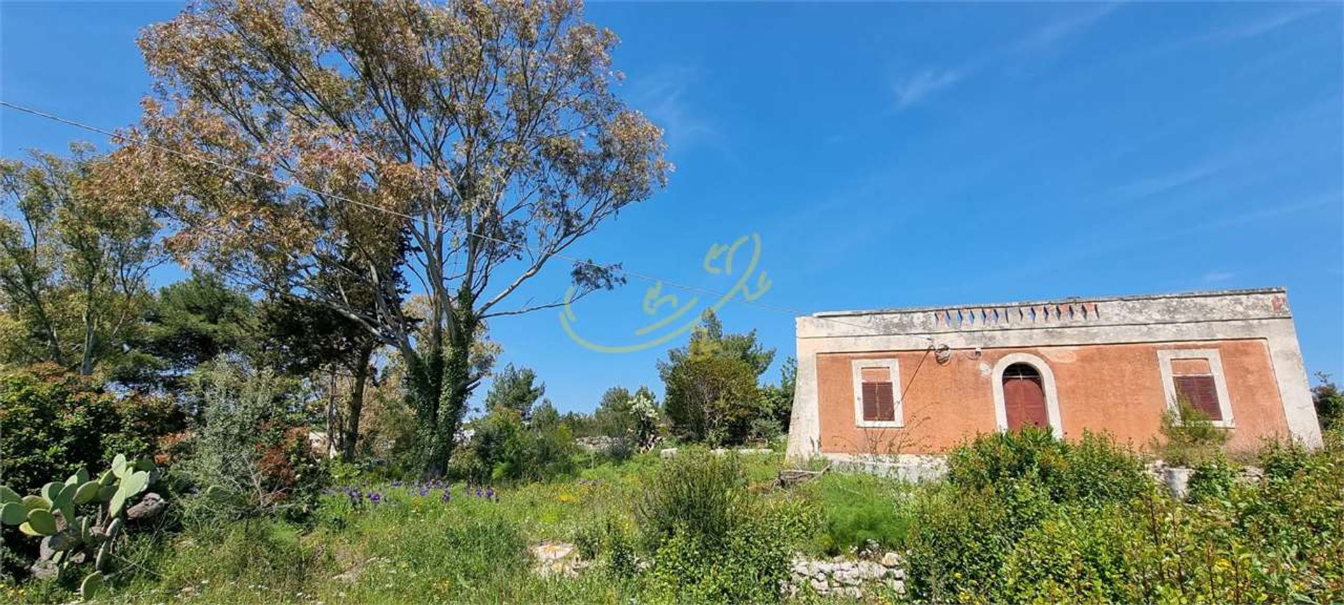 Tanah dalam Ostuni, Apulia 11728361