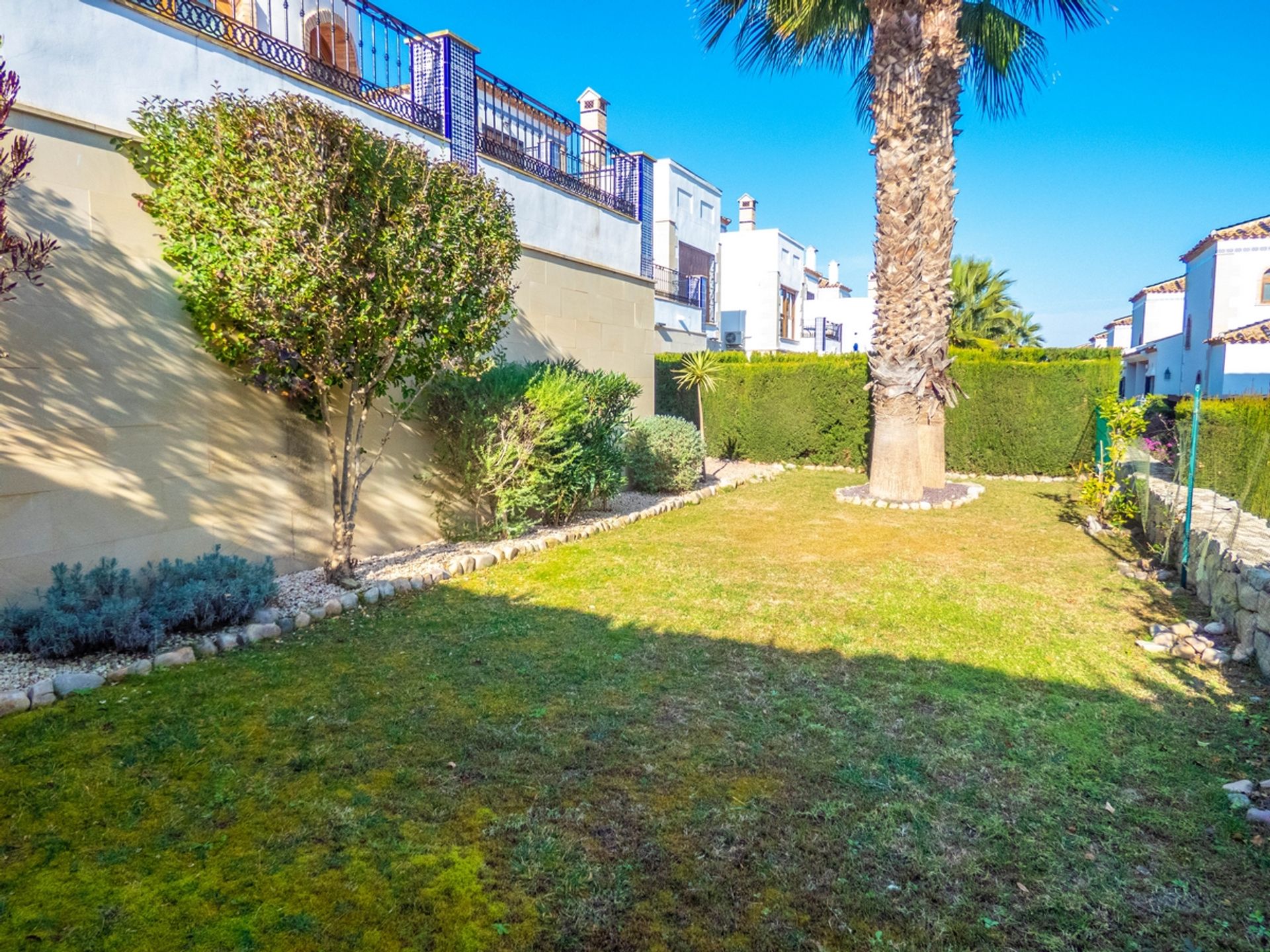 House in Algorfa, Comunidad Valenciana 11729040