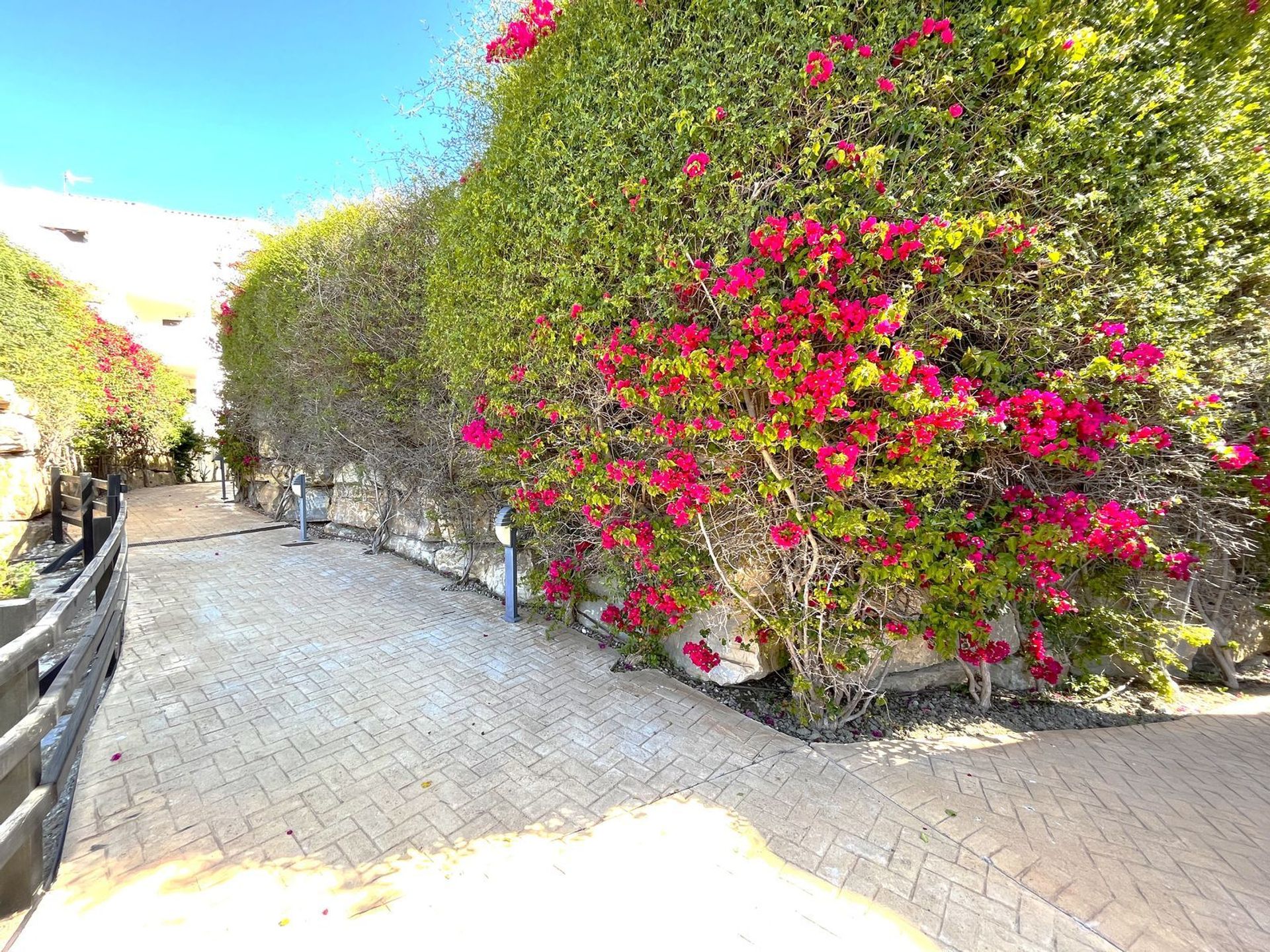 Condominium in Casares, Andalusia 11729358