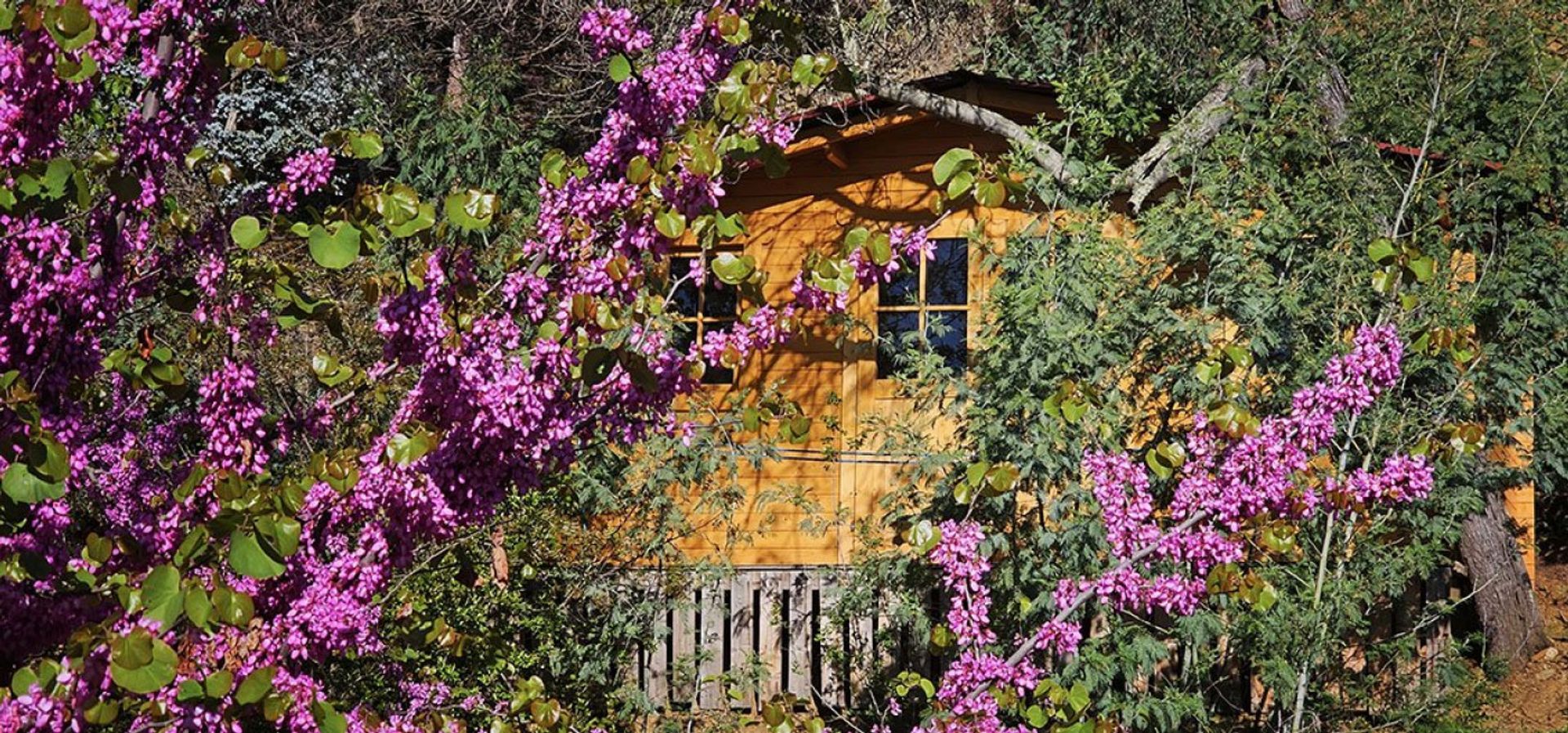 loger dans Reynès, Occitanie 11733027