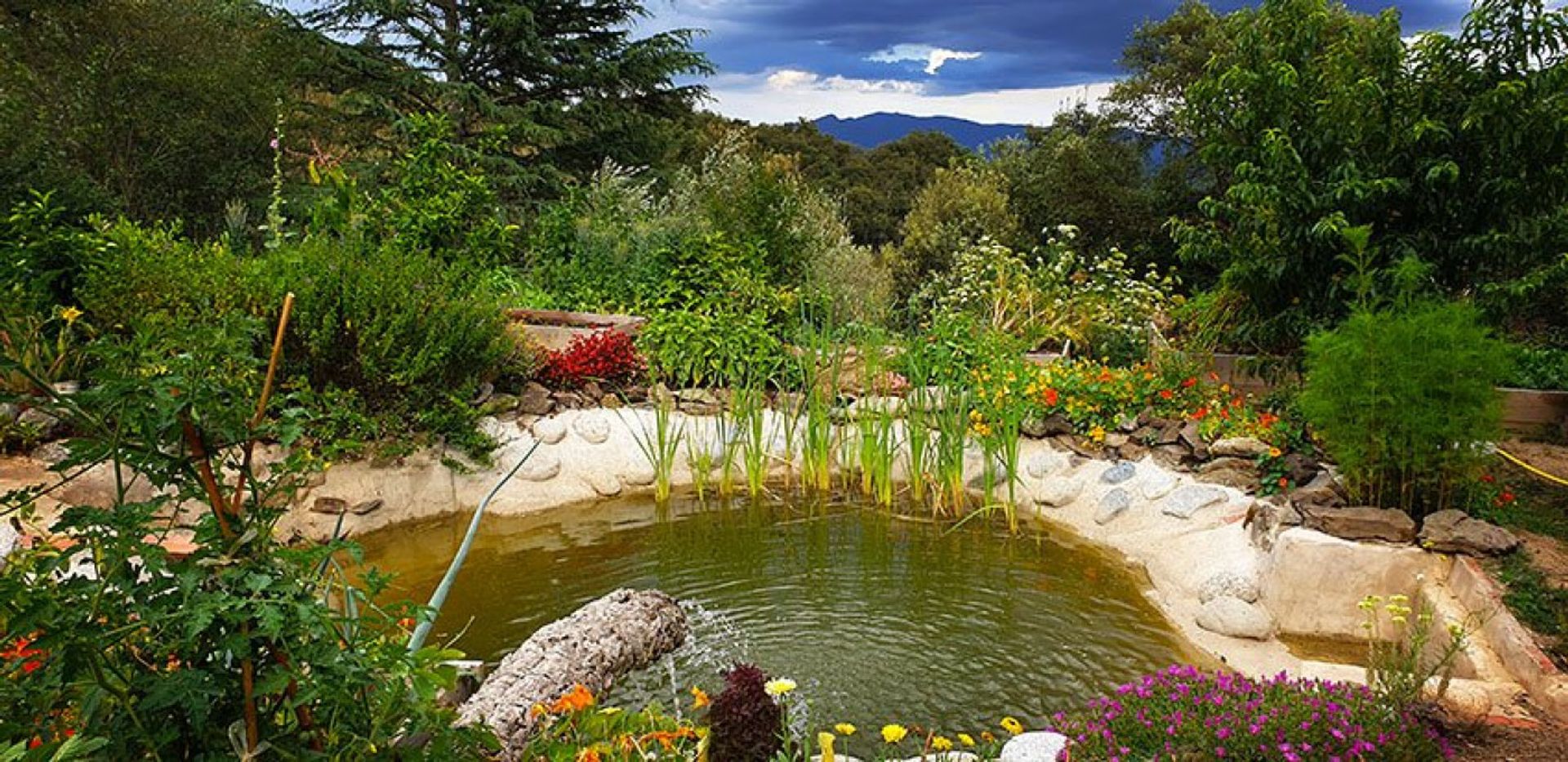 loger dans Reynès, Occitanie 11733027