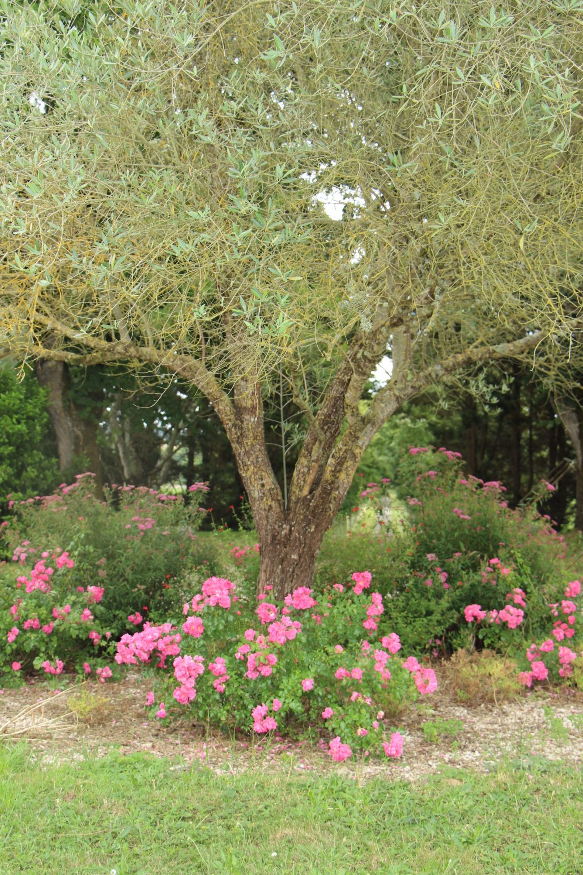 Rumah di Fleurance, Occitanie 11733140