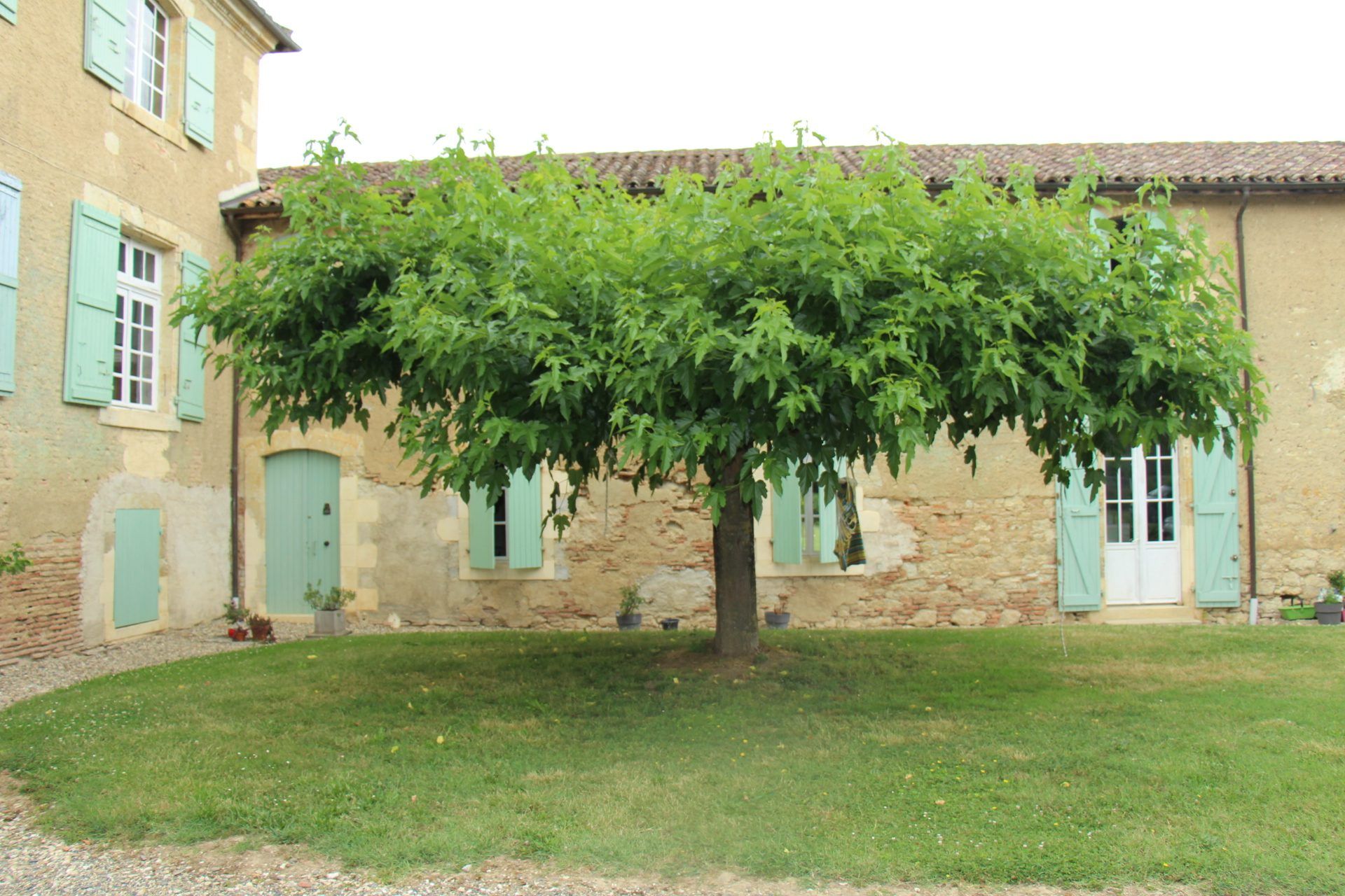 Rumah di Fleurance, Occitanie 11733140