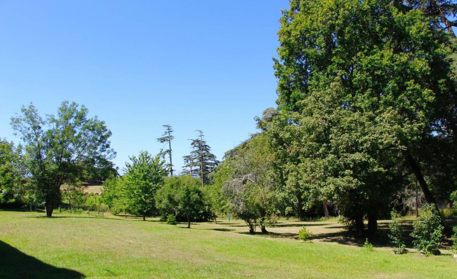 Rumah di Marciac, Occitanie 11733145