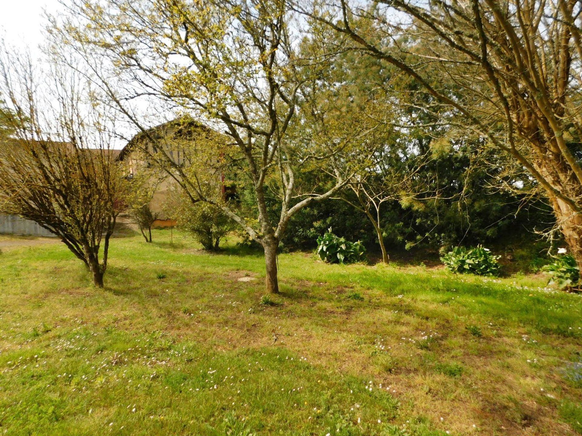 casa en Cazaubon, Occitanie 11733153