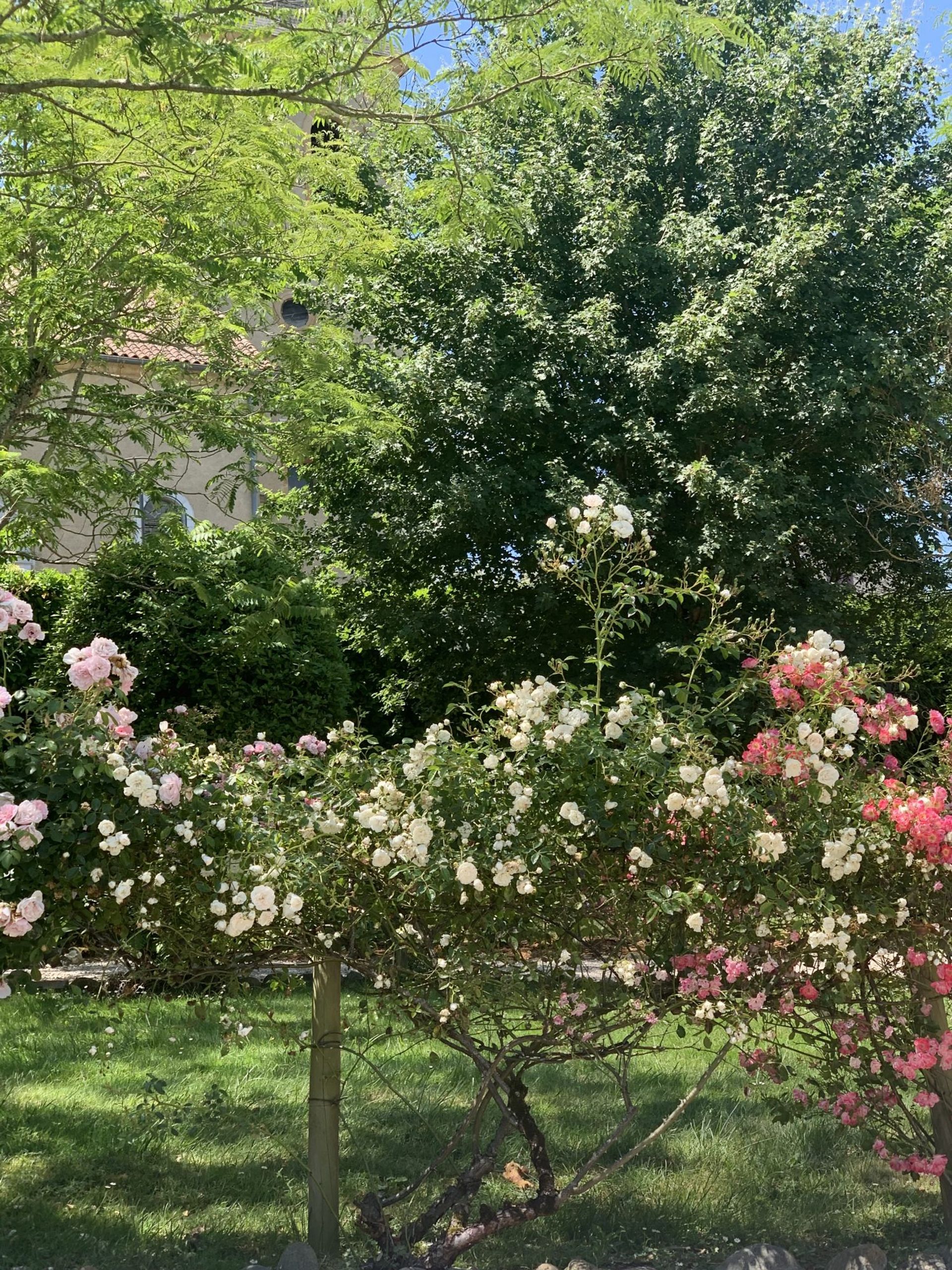 بيت في Marciac, Occitanie 11733158