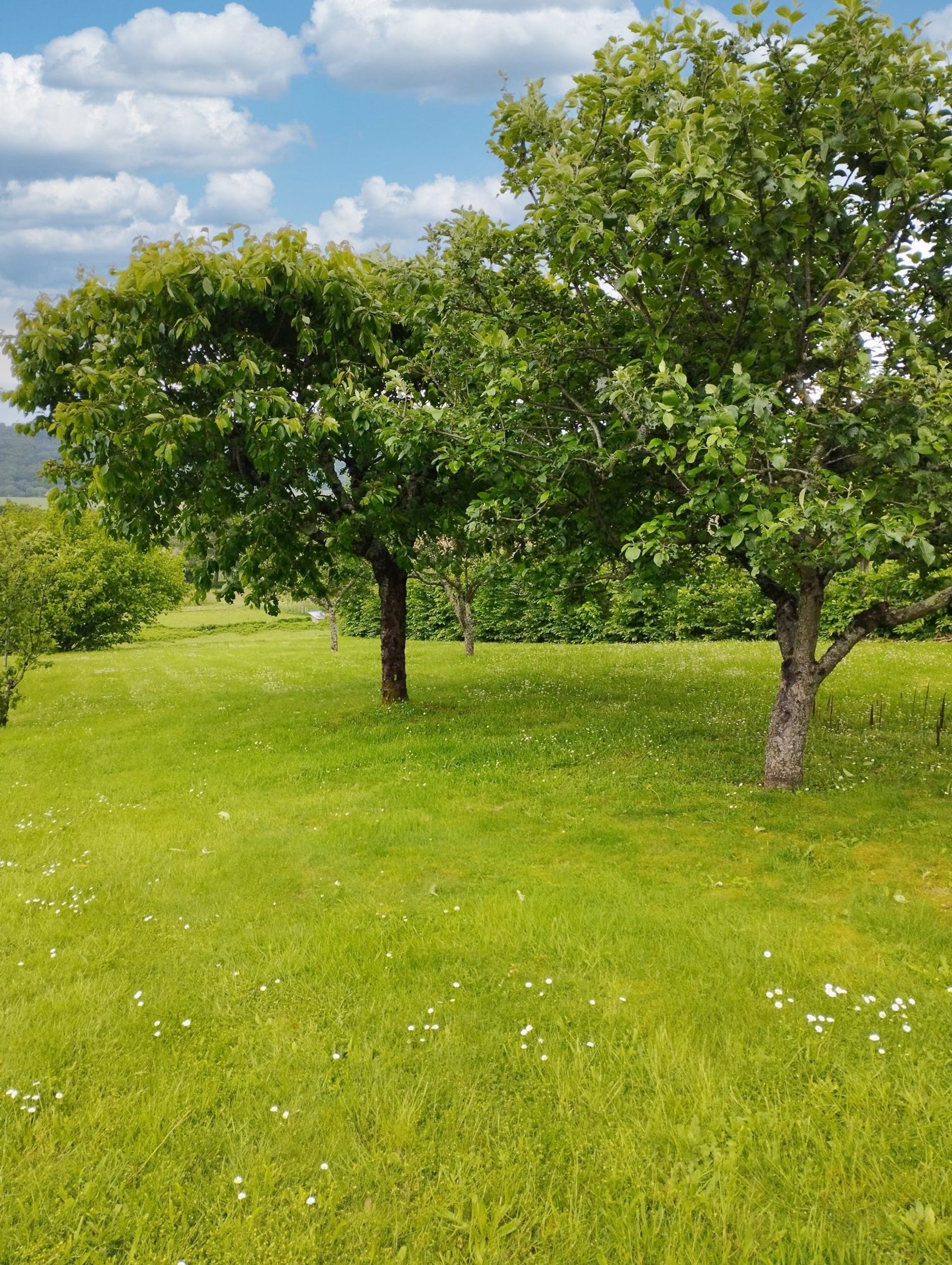 بيت في Marciac, Occitanie 11733158