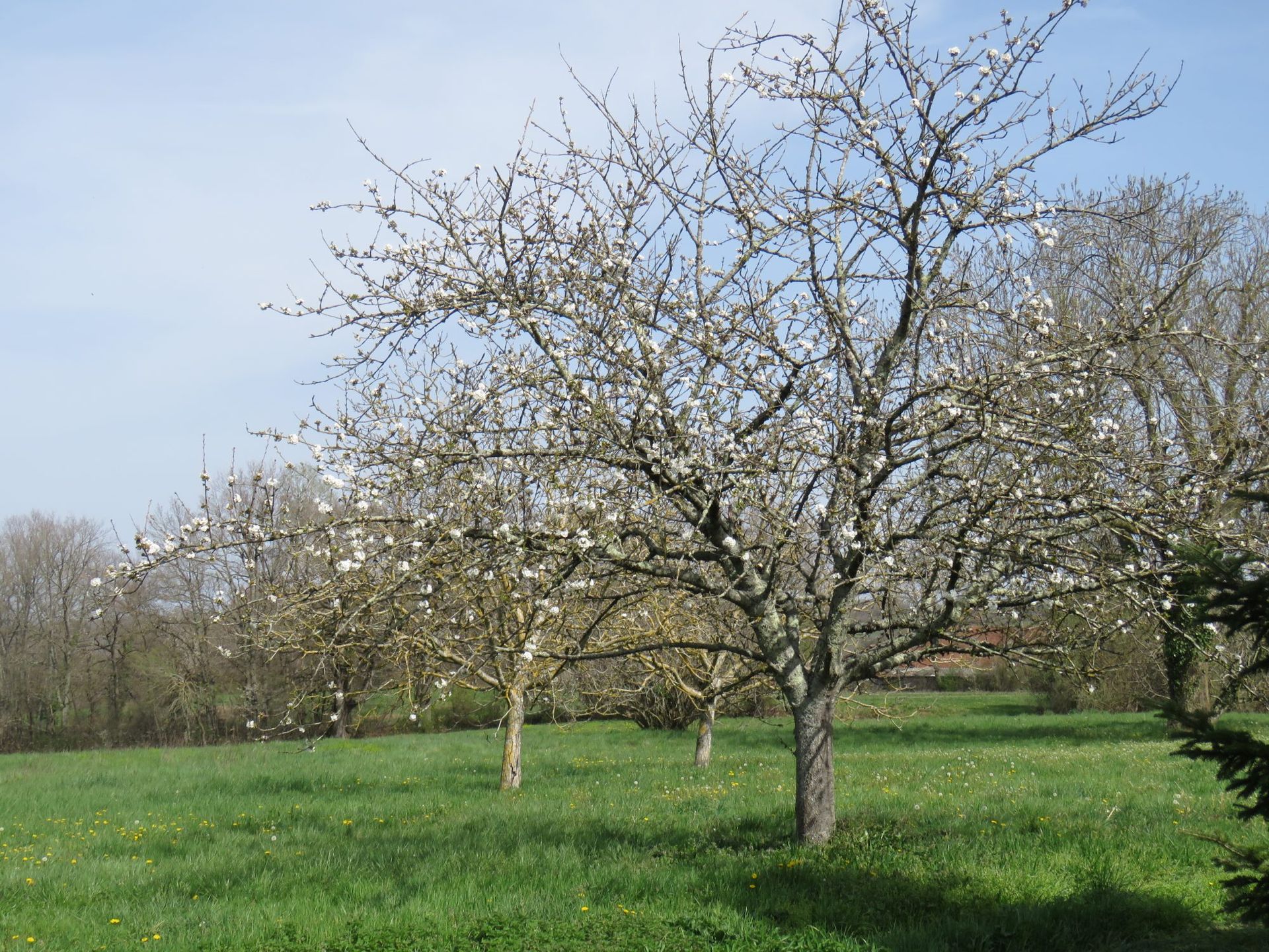 жилой дом в Masseube, Occitanie 11733216