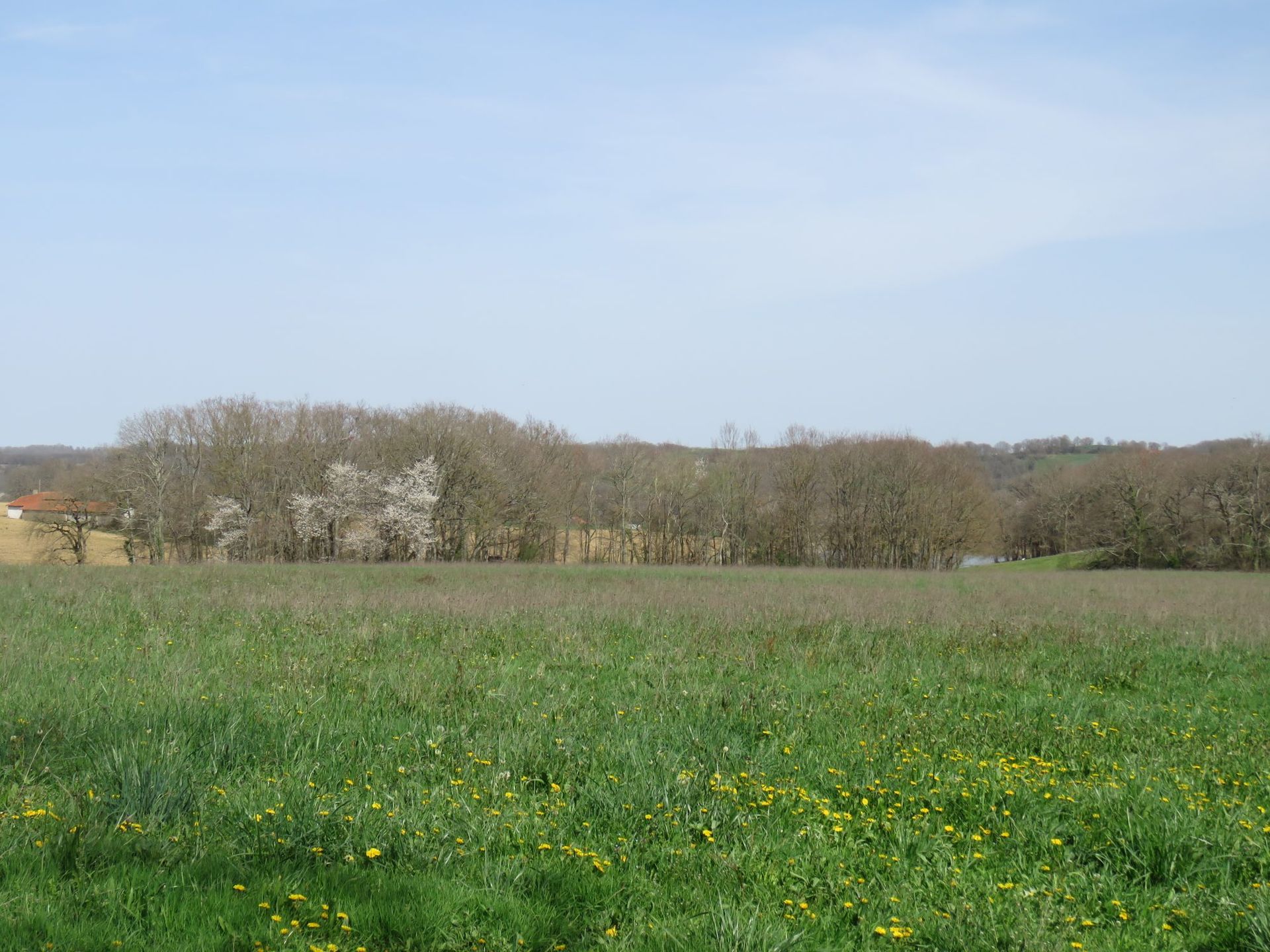 Hus i Masseube, Occitanie 11733216