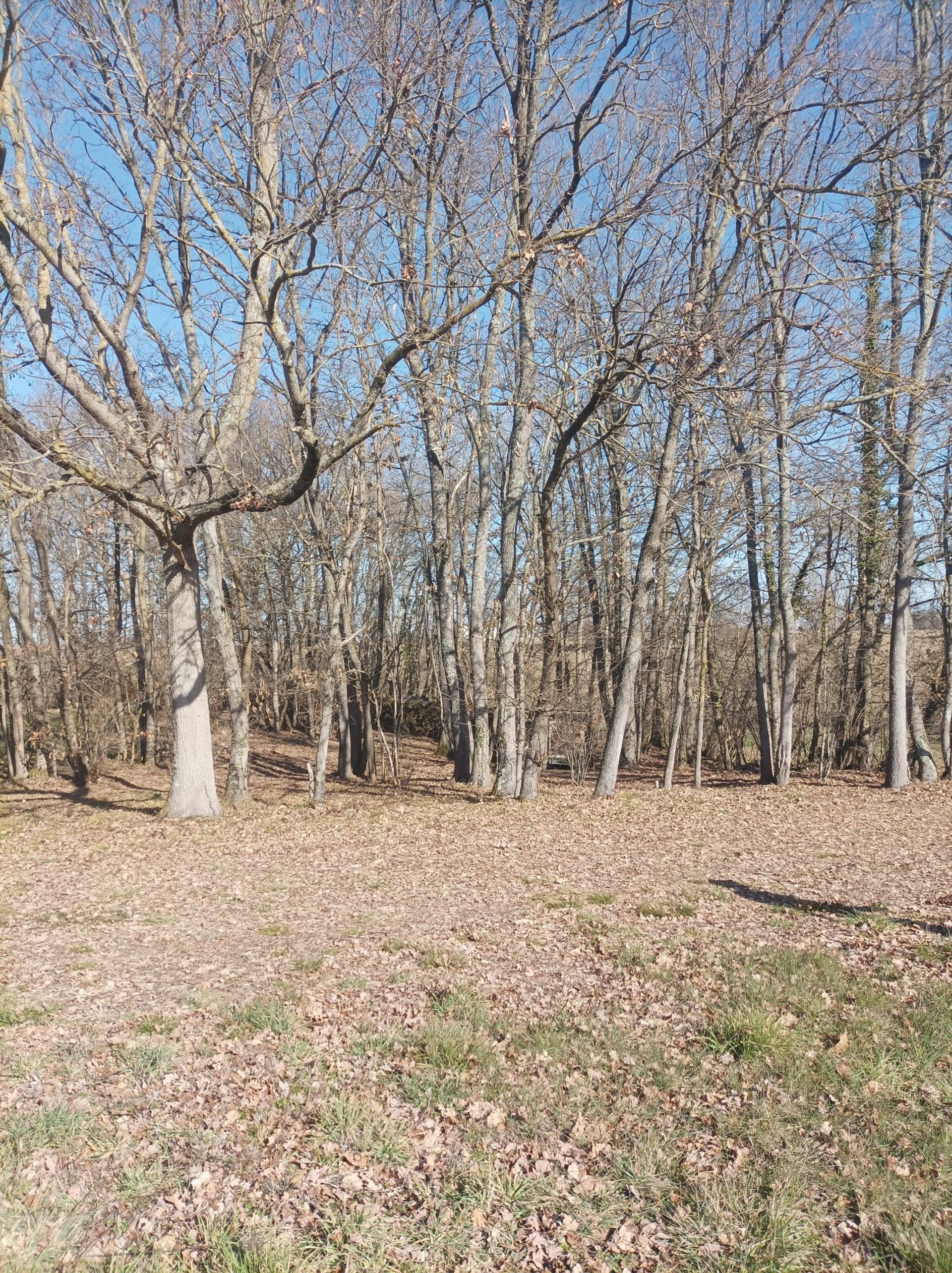 房子 在 Masseube, Occitanie 11733216