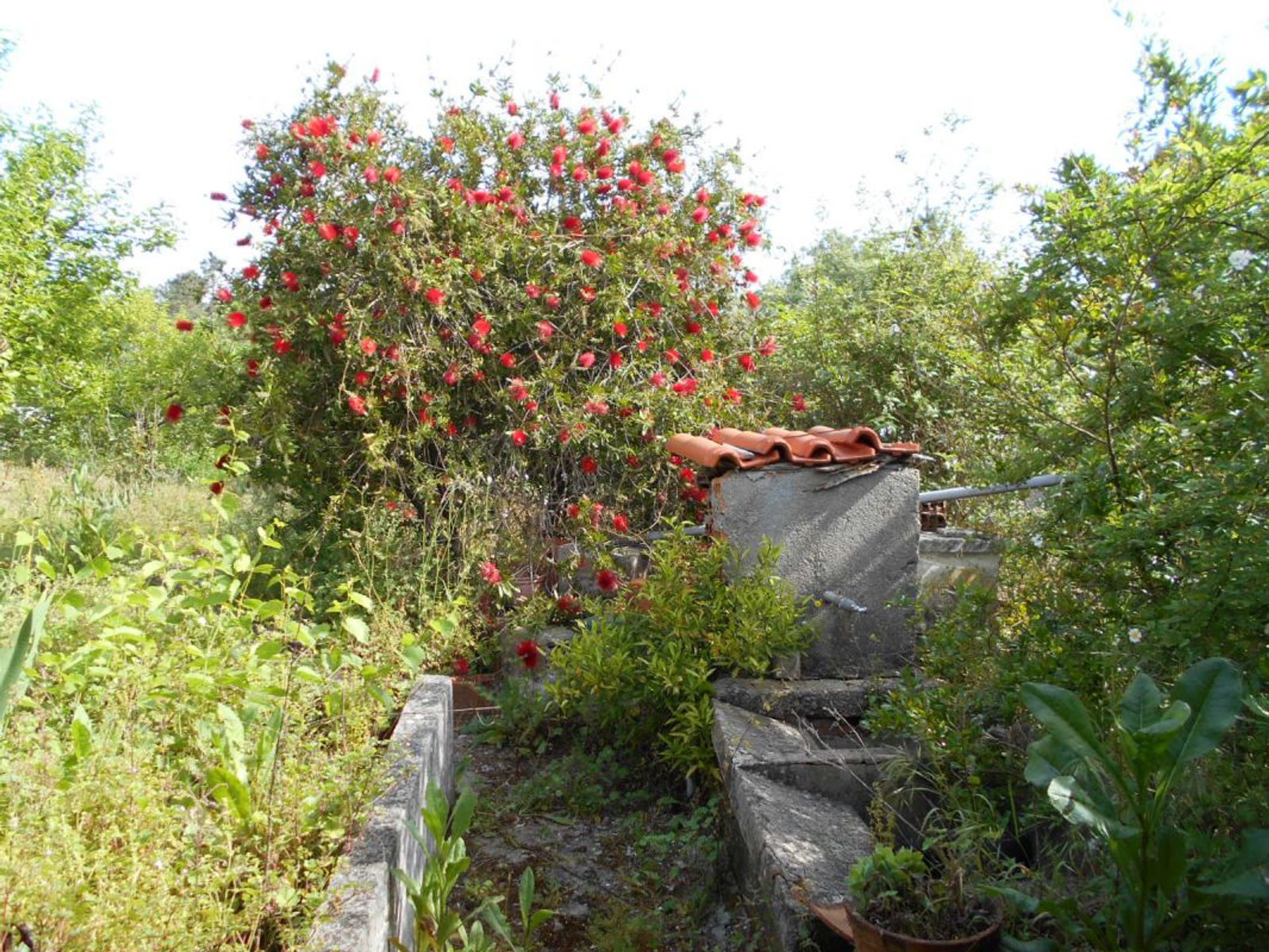 Casa nel Ansião, Leiria District 11733282