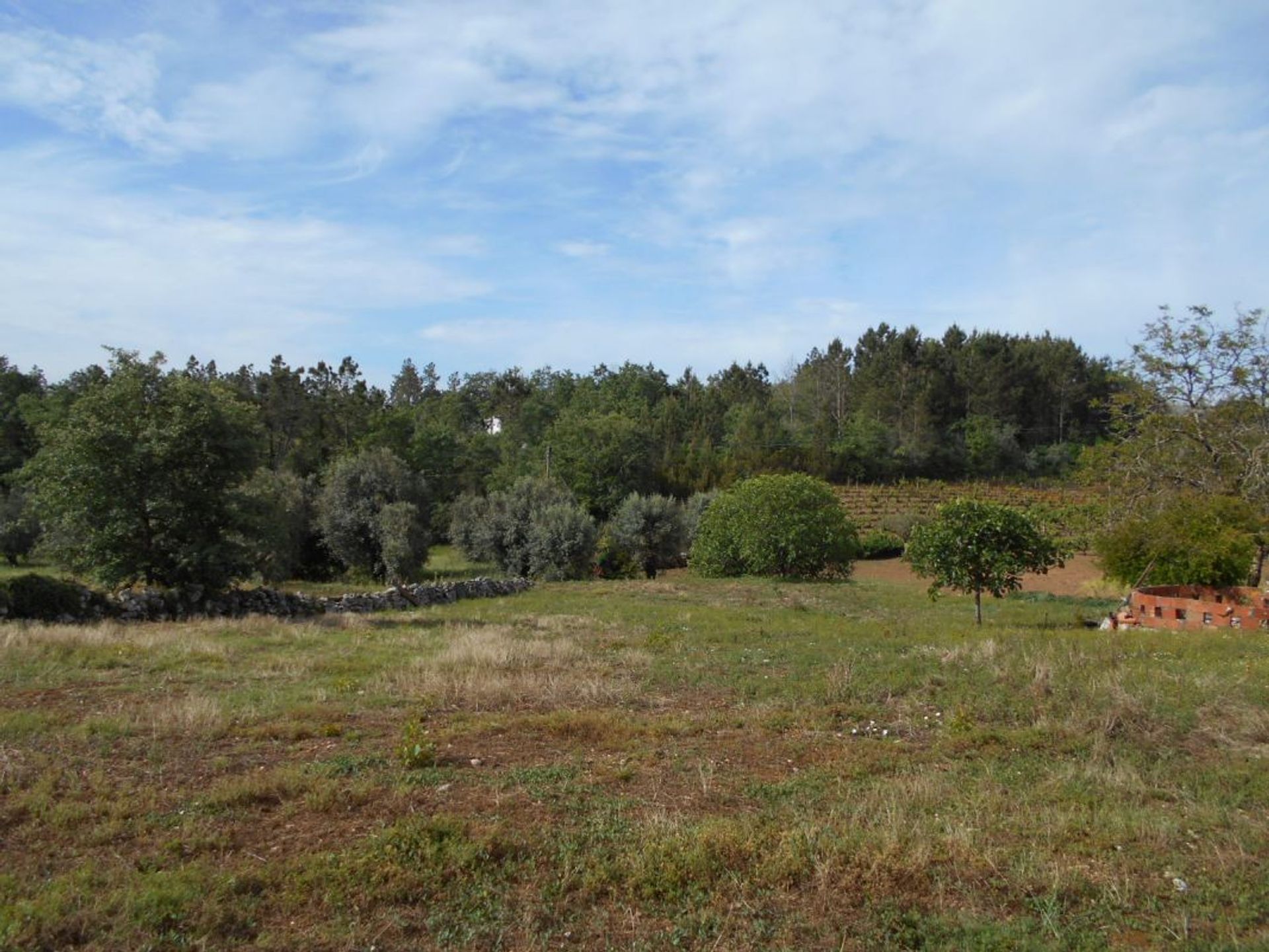 Casa nel Ansião, Leiria District 11733282