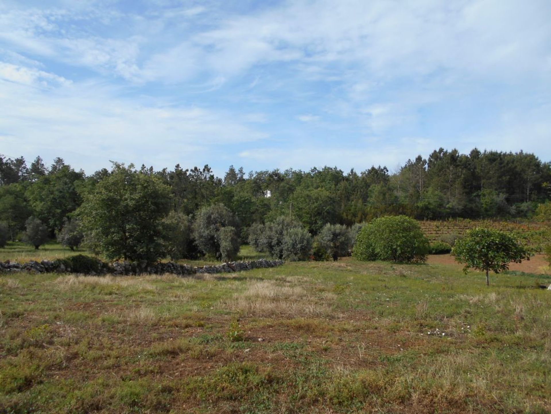 Casa nel Ansião, Leiria District 11733282