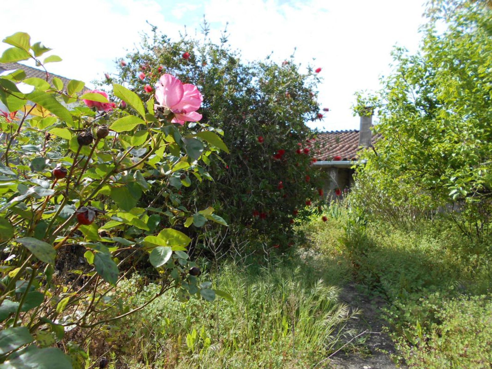 Casa nel Ansião, Leiria District 11733282