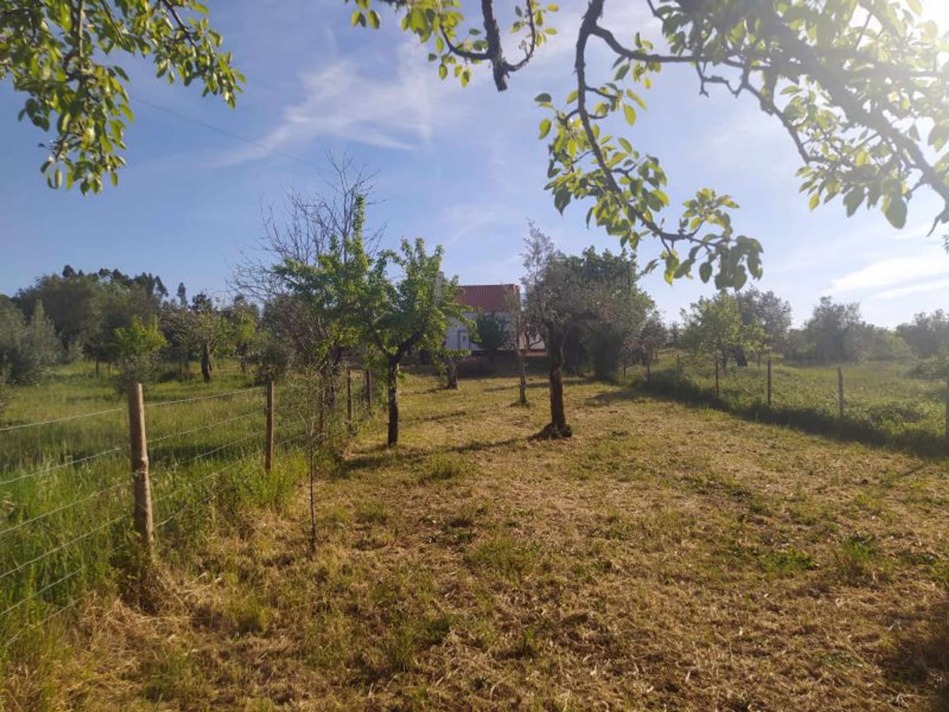 Haus im Cabacos, Leiria 11733331