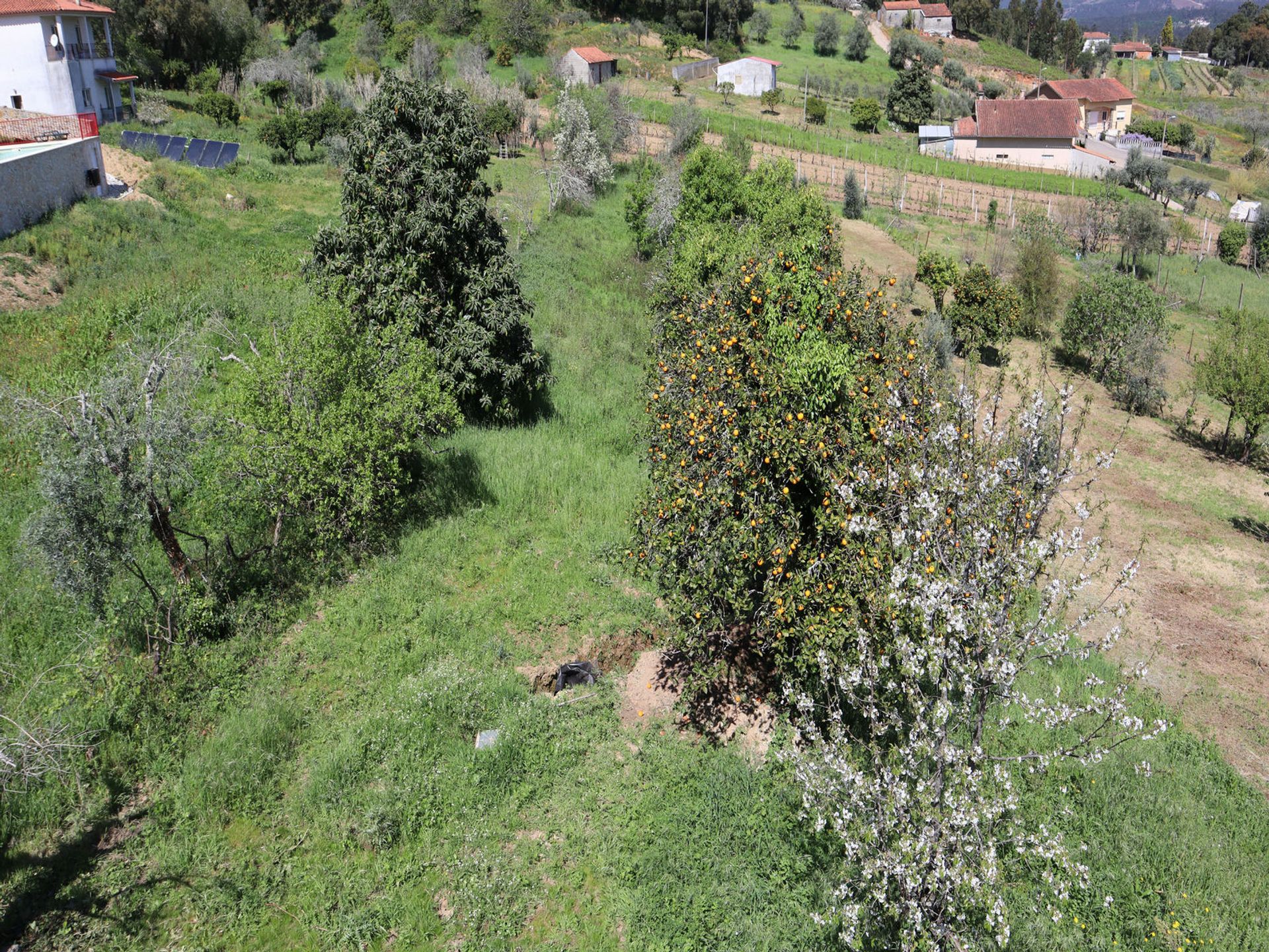 Talo sisään Vila Nova de Poiares, Coimbra District 11733355