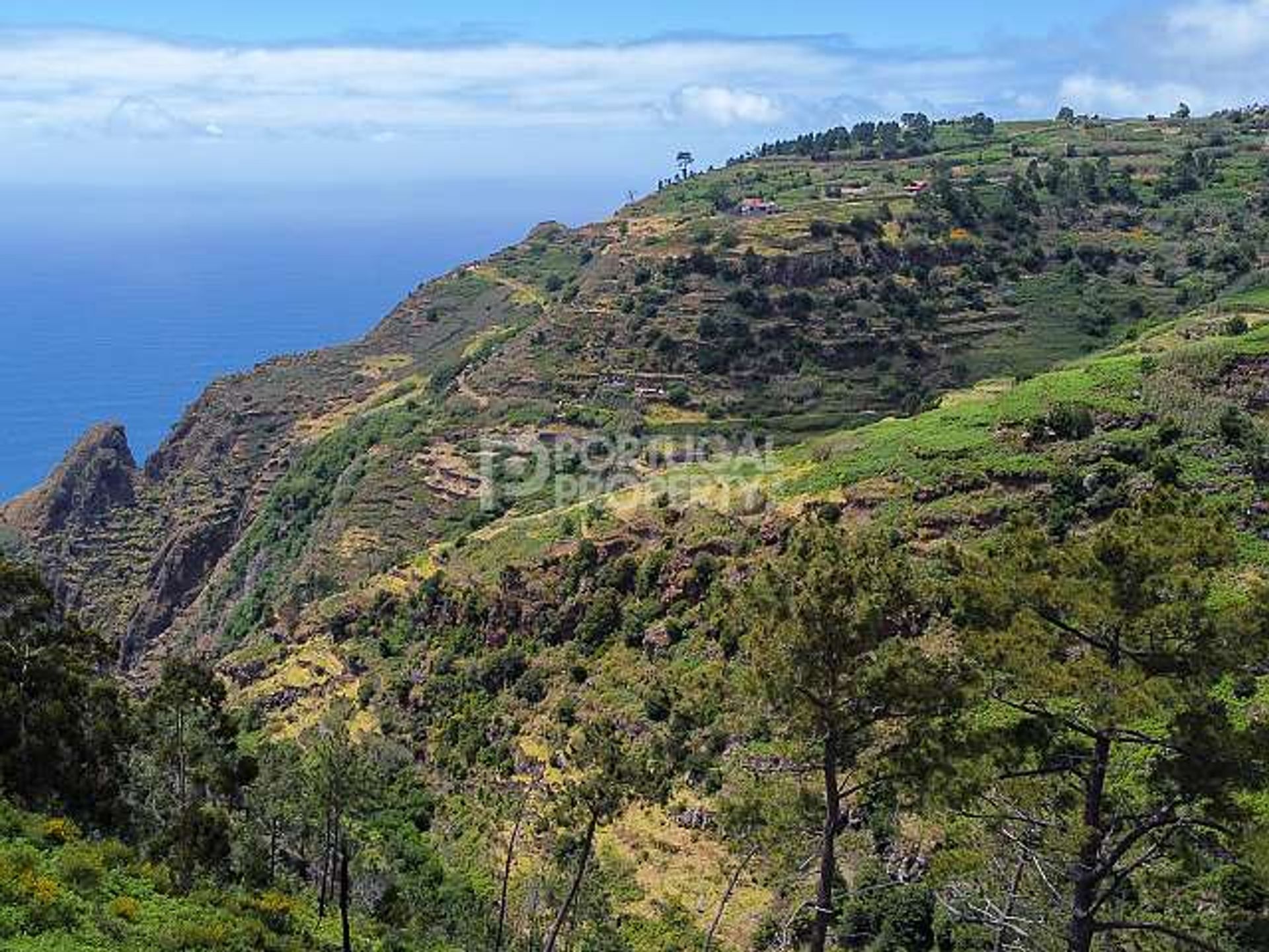 Land i Venda do Atalhinho, Madeira 11733377