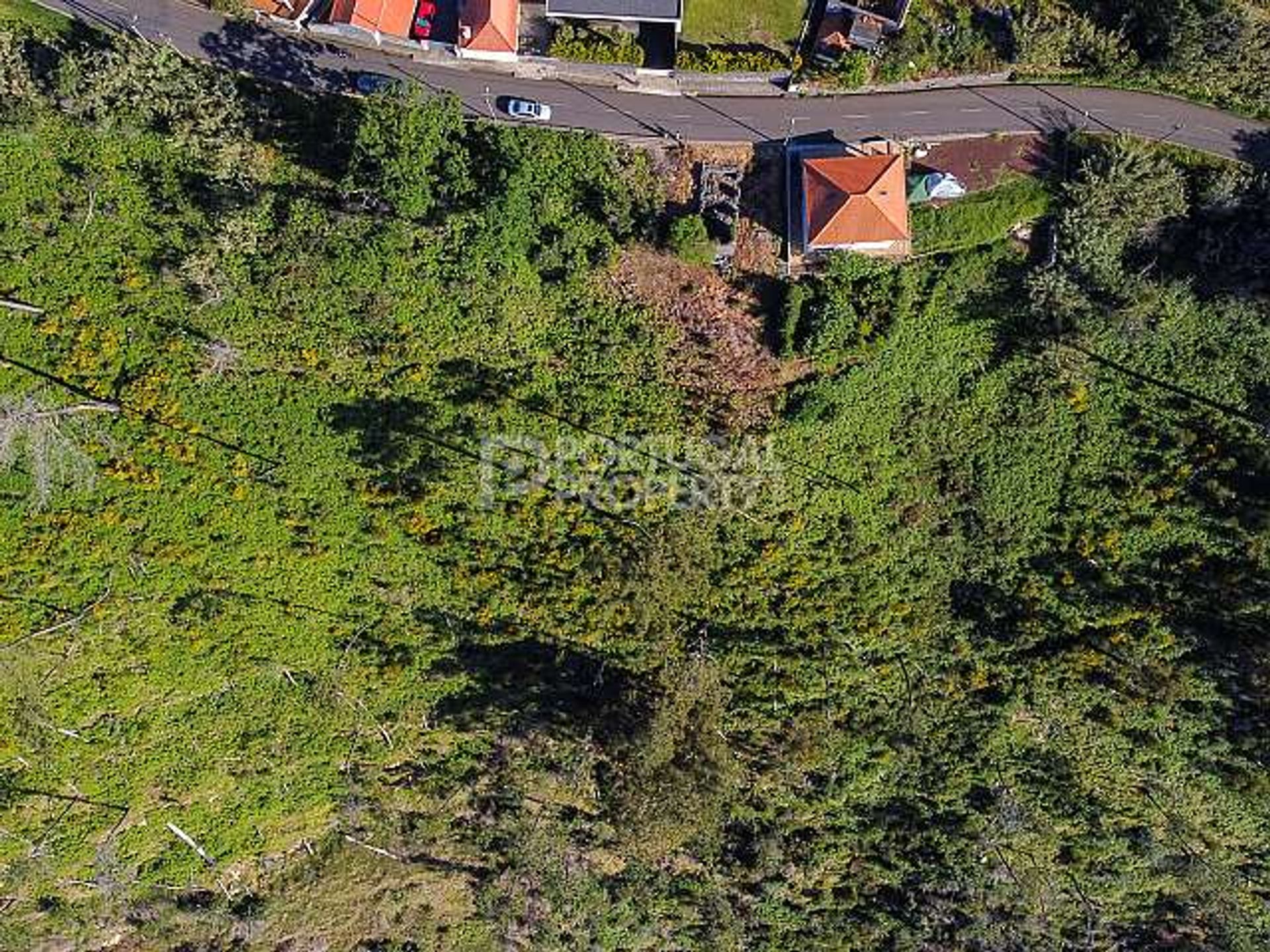 Земля в Estreito da Calheta, Madeira 11733377