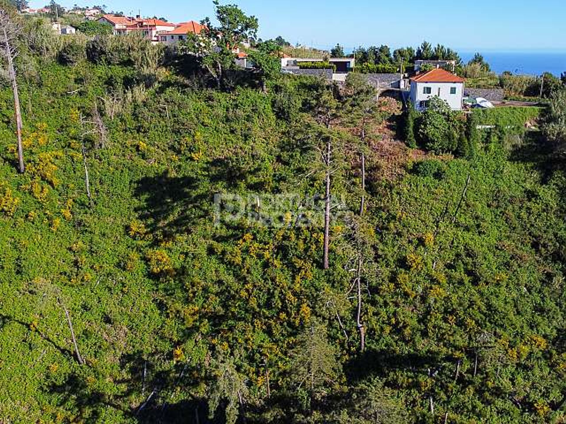 Земля в Estreito da Calheta, Madeira 11733377