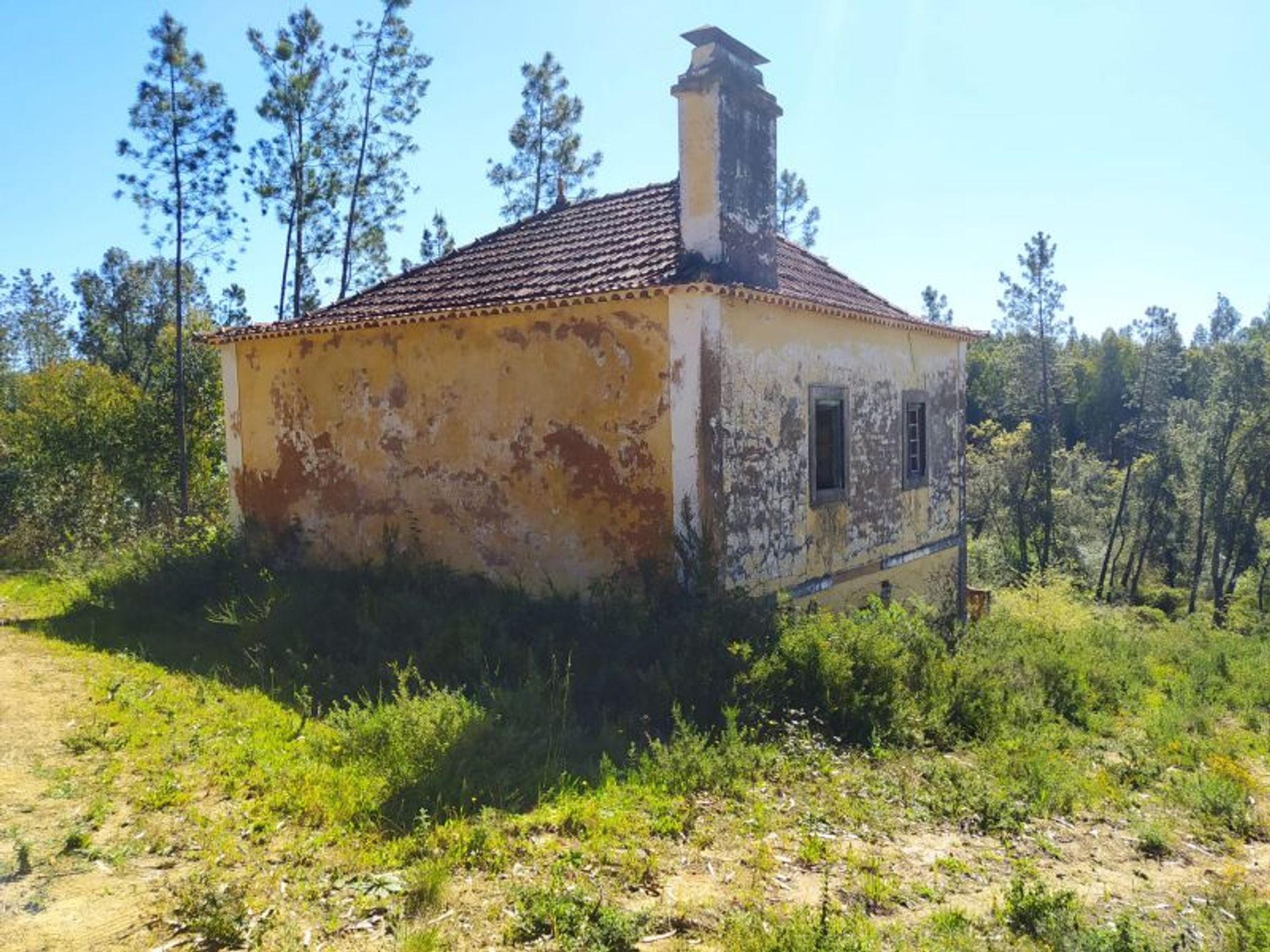 rumah dalam , Santarém 11733409