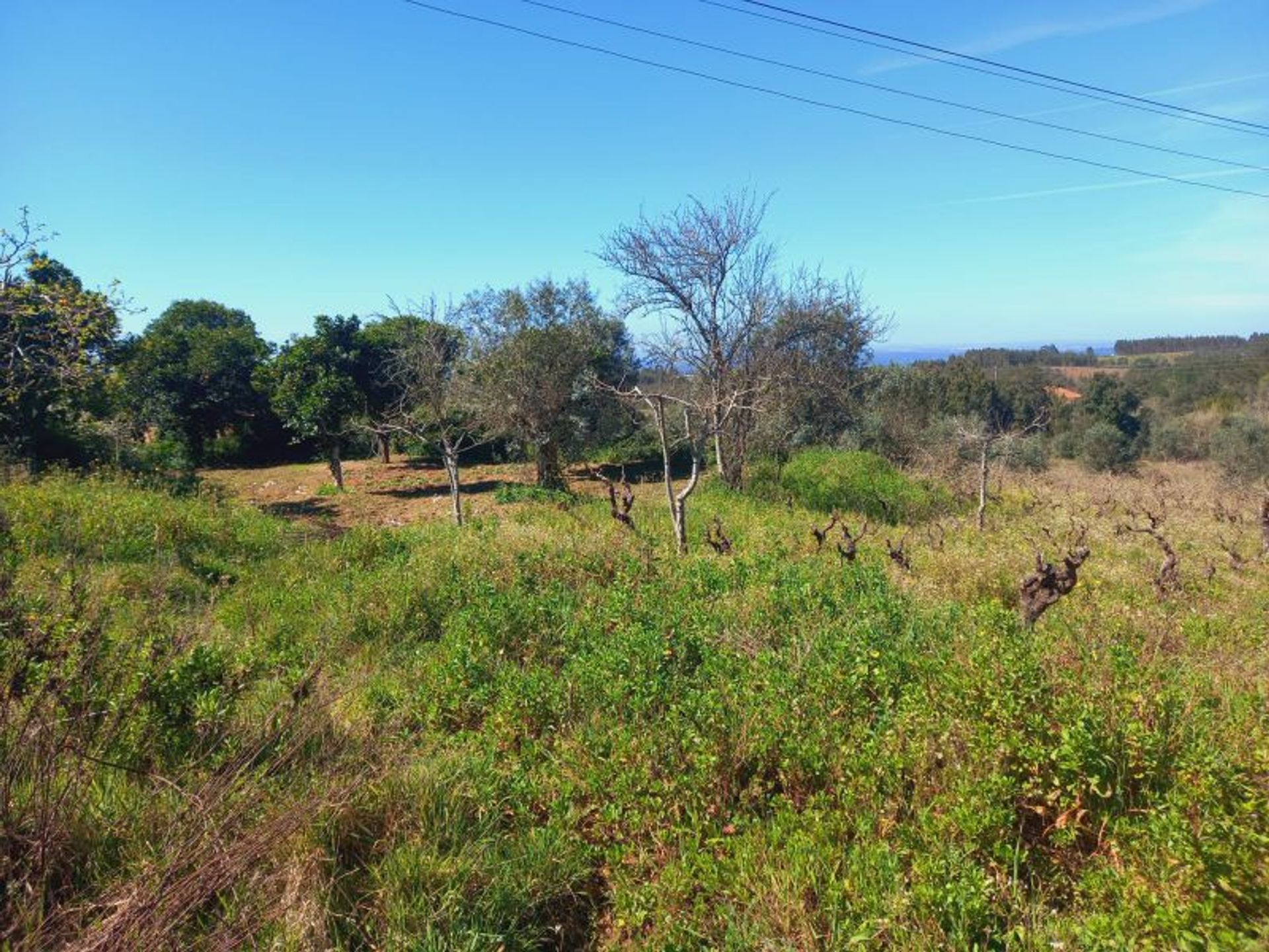 rumah dalam , Santarém 11733409