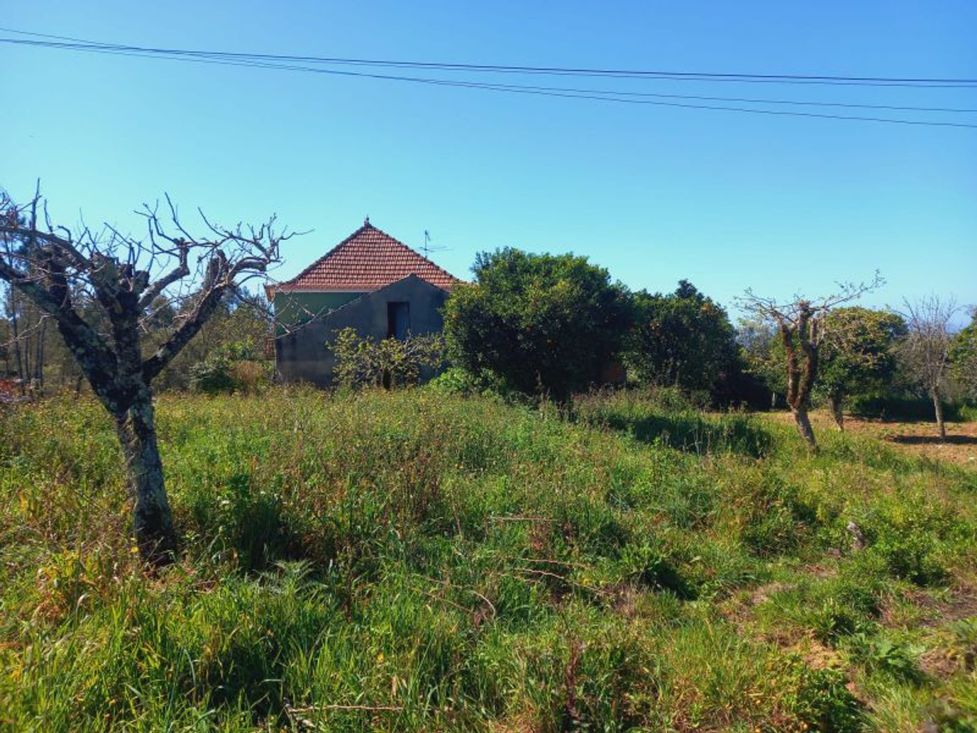 rumah dalam , Santarém 11733409