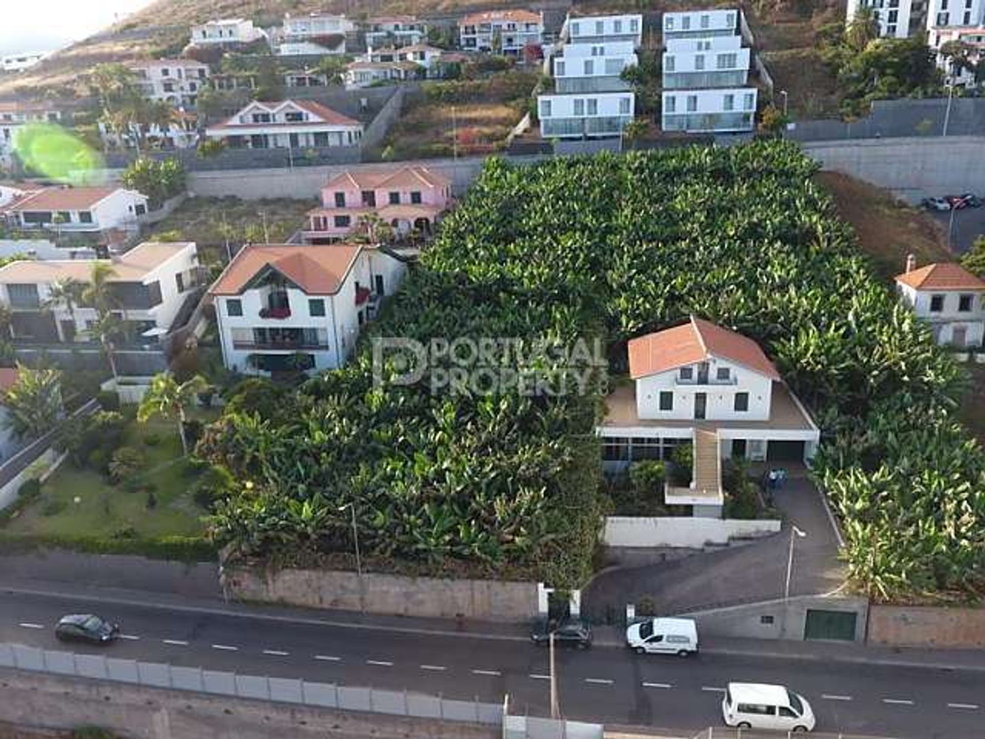 Terre dans Rossio au sud du Tejo, Santarém 11733421