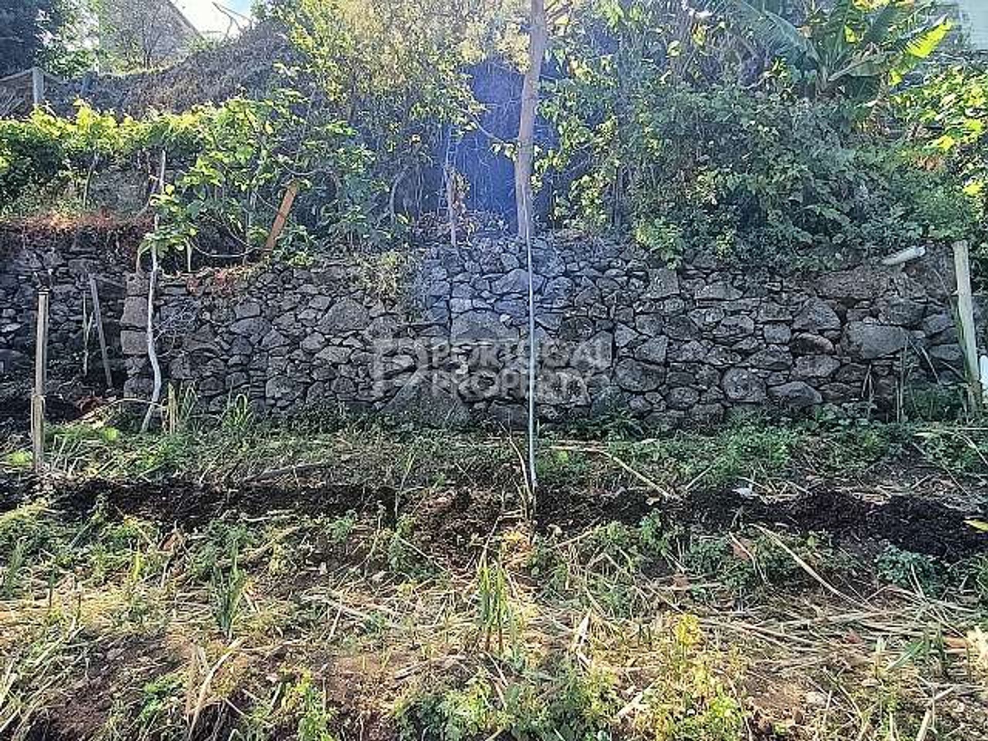 Land im Estreito da Calheta, Madeira 11733422