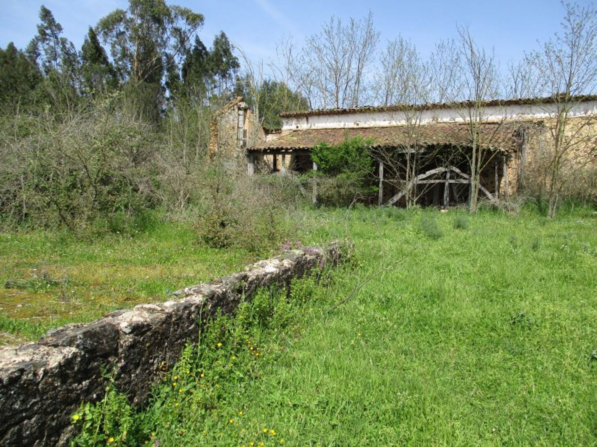 Andere in Alviobeira, Santarém 11733439