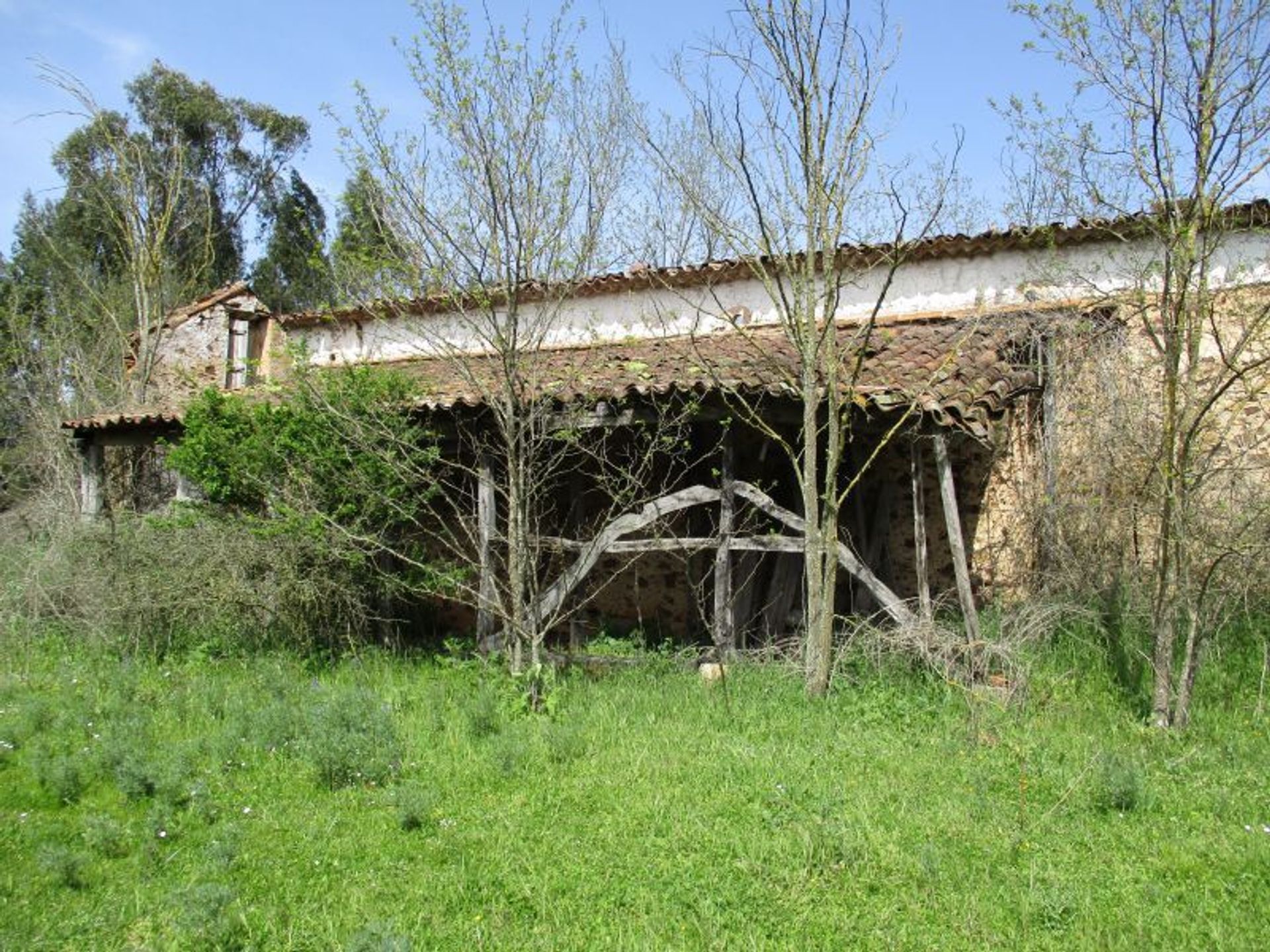 Altro nel , Santarém 11733439