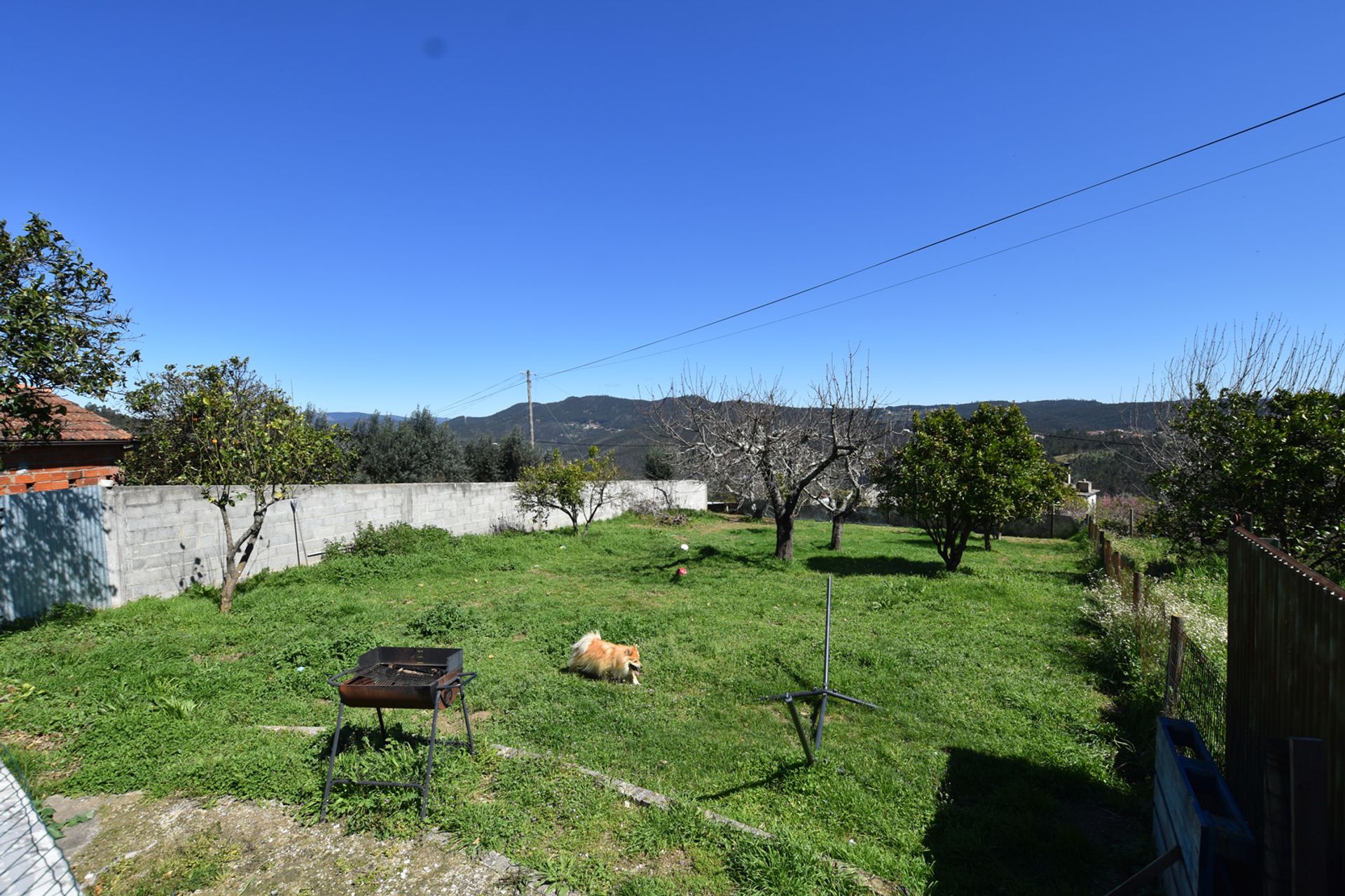 Huis in , Leiria 11733444