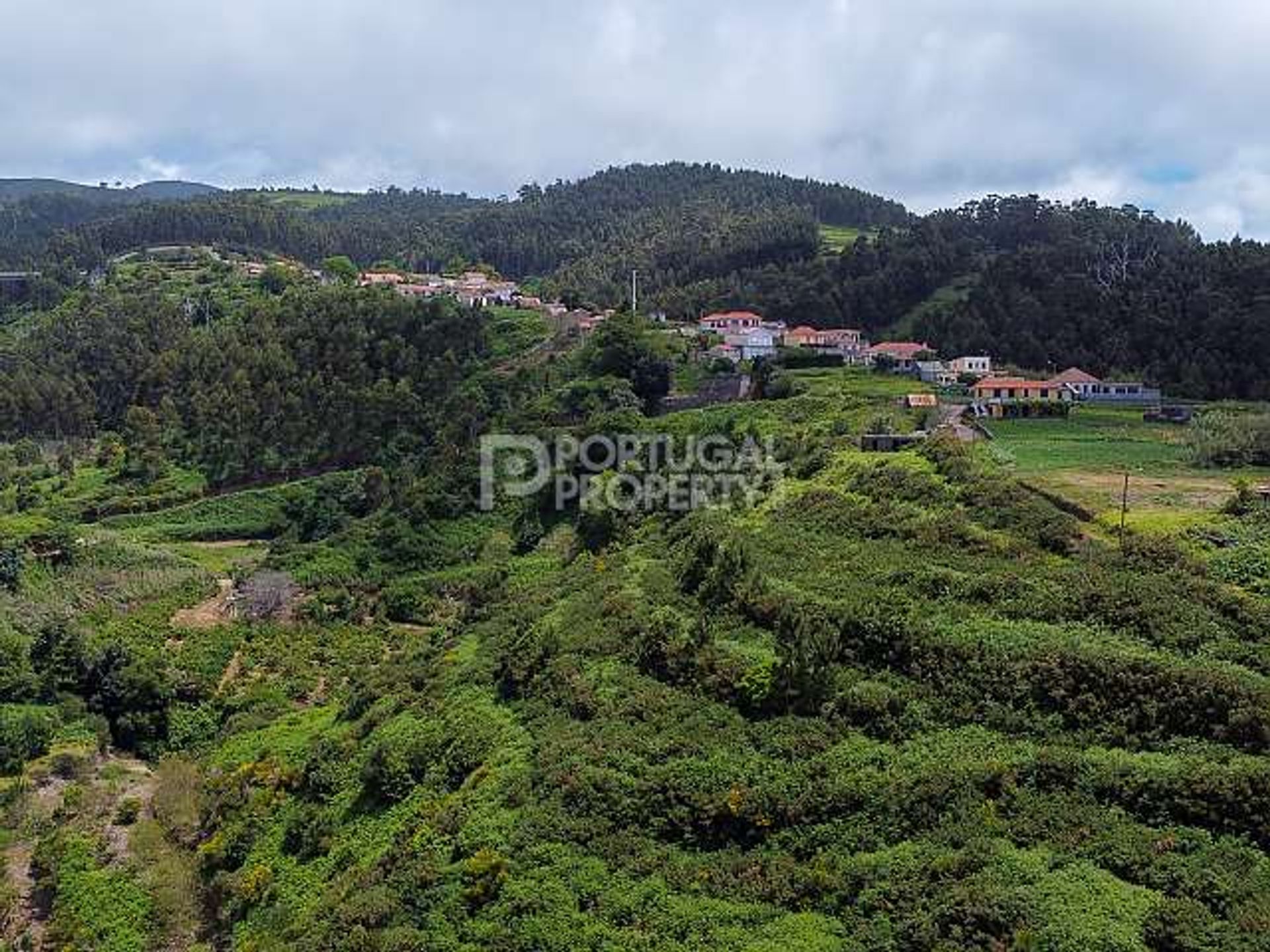 나라 에 Estreito da Calheta, Madeira 11733446