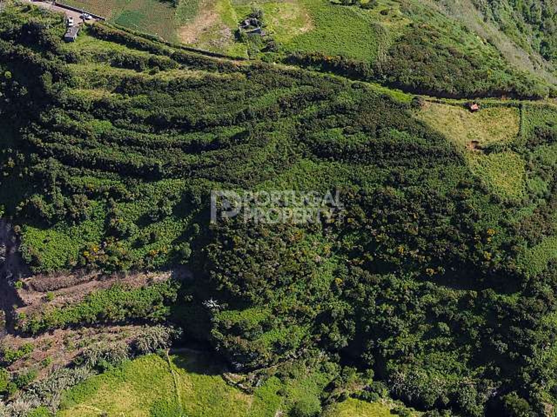 나라 에 Estreito da Calheta, Madeira 11733446