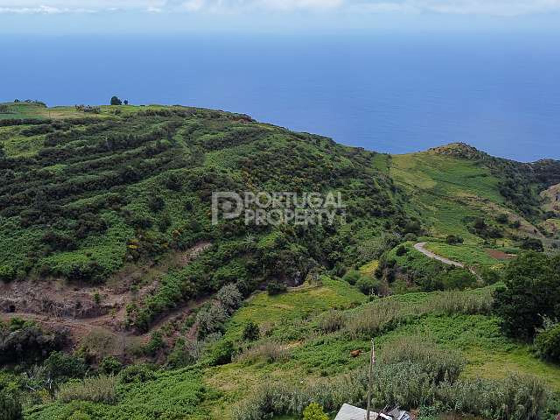 나라 에 Estreito da Calheta, Madeira 11733446