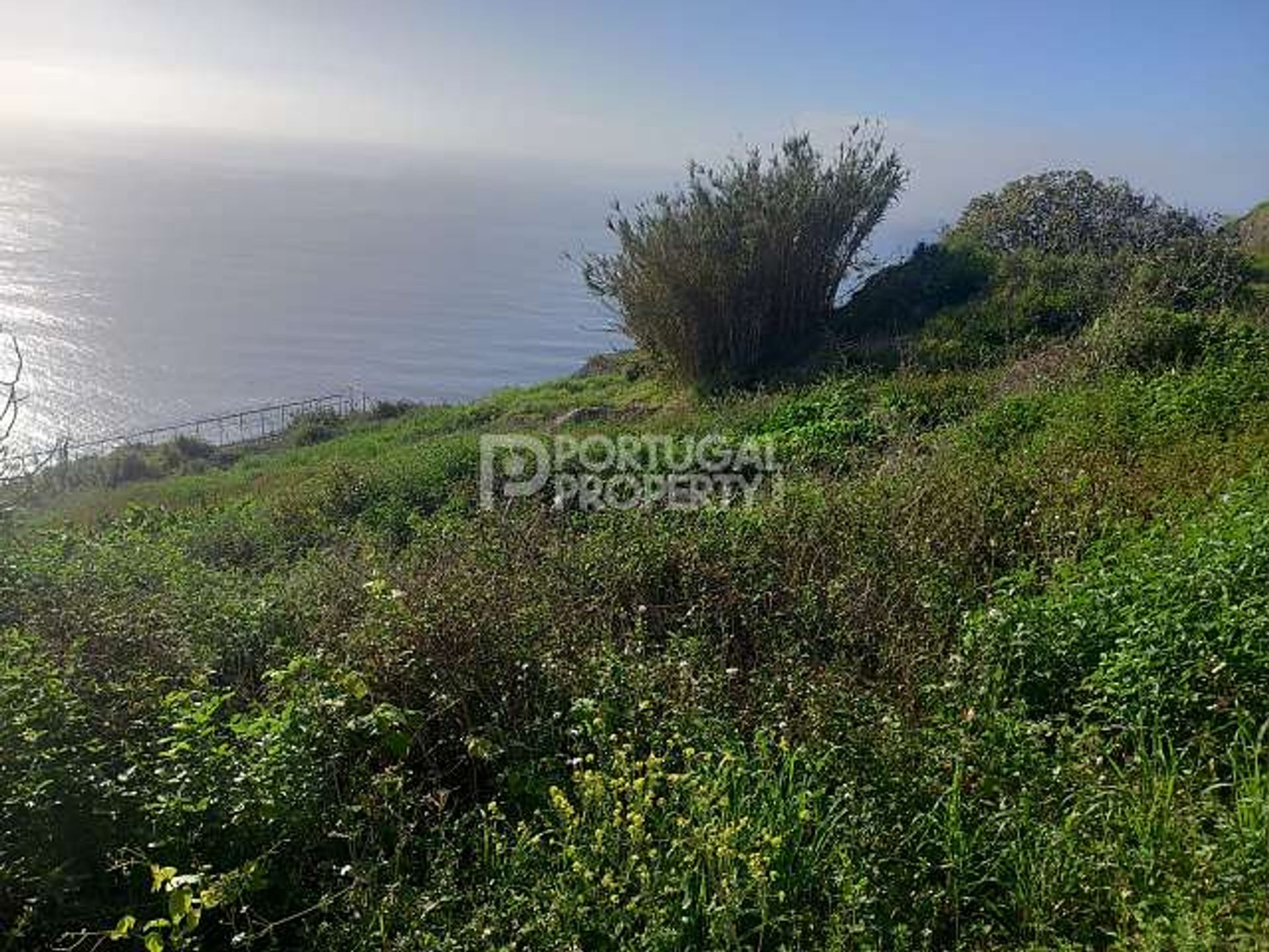 Tanah di Estreito da Calheta, Madeira 11733448