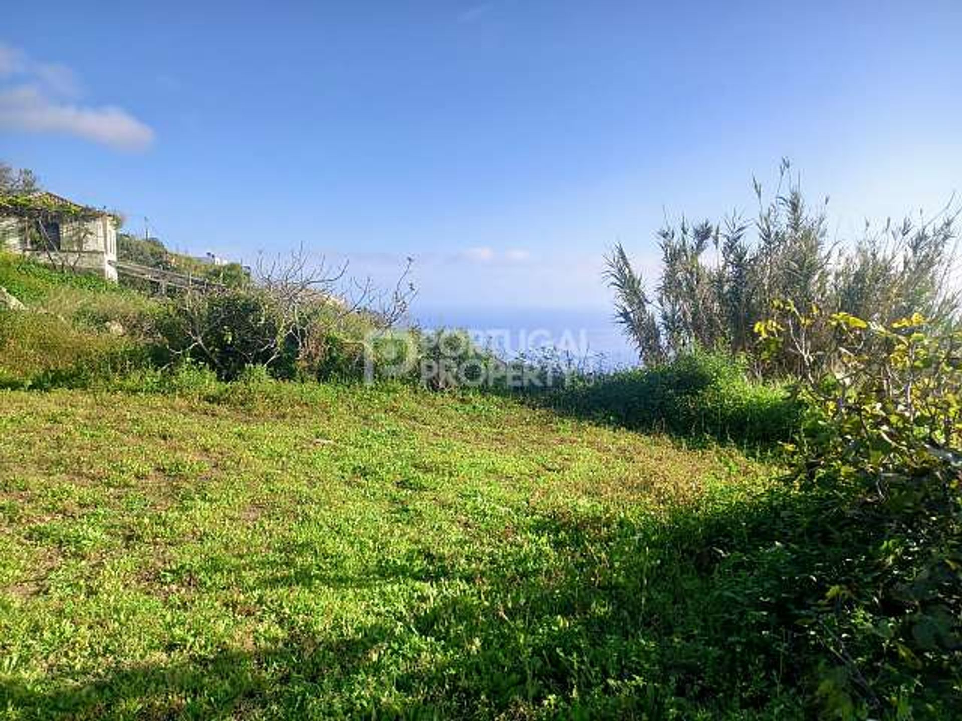 Tanah di Estreito da Calheta, Madeira 11733448