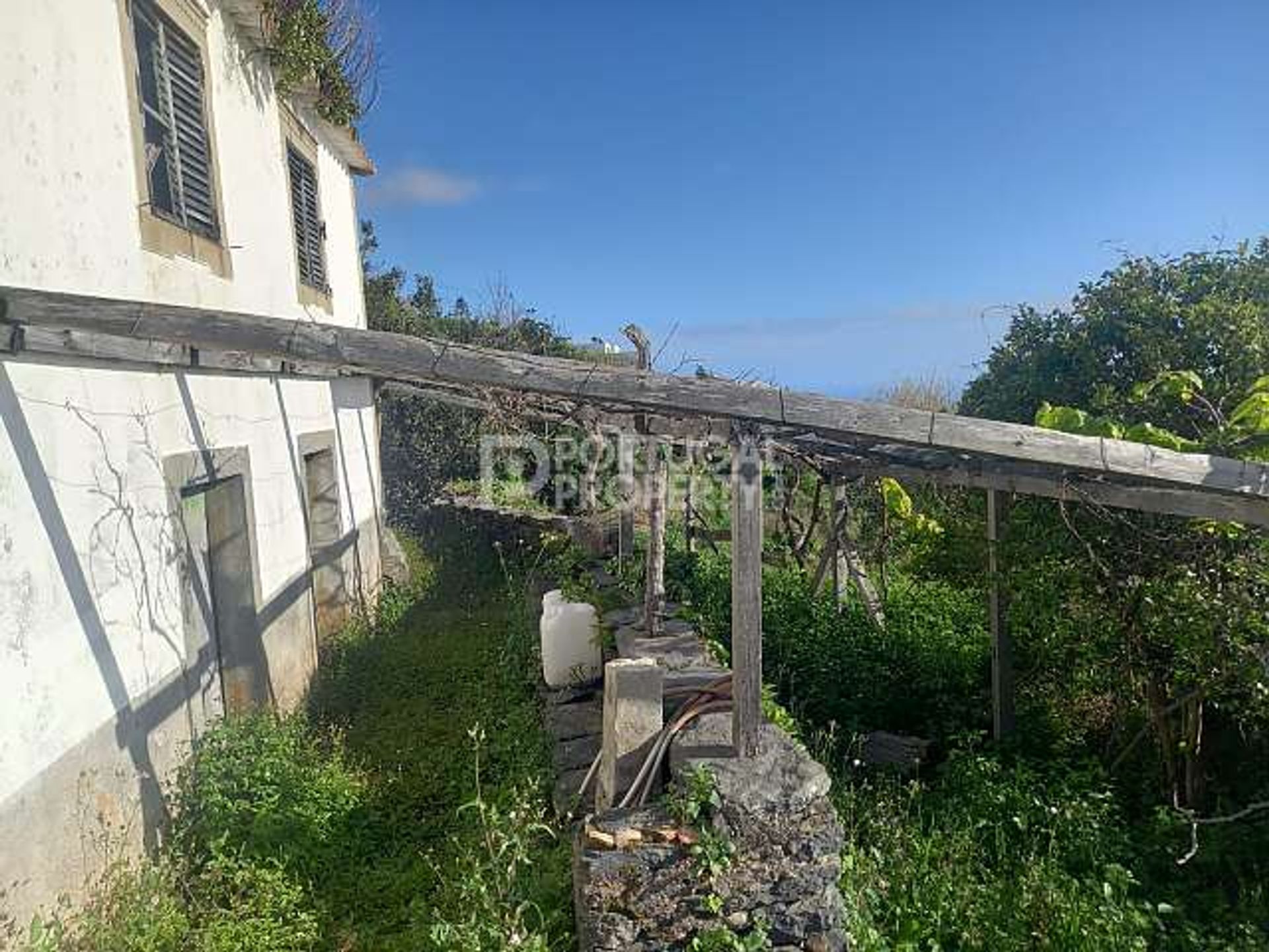 Tanah di Estreito da Calheta, Madeira 11733448