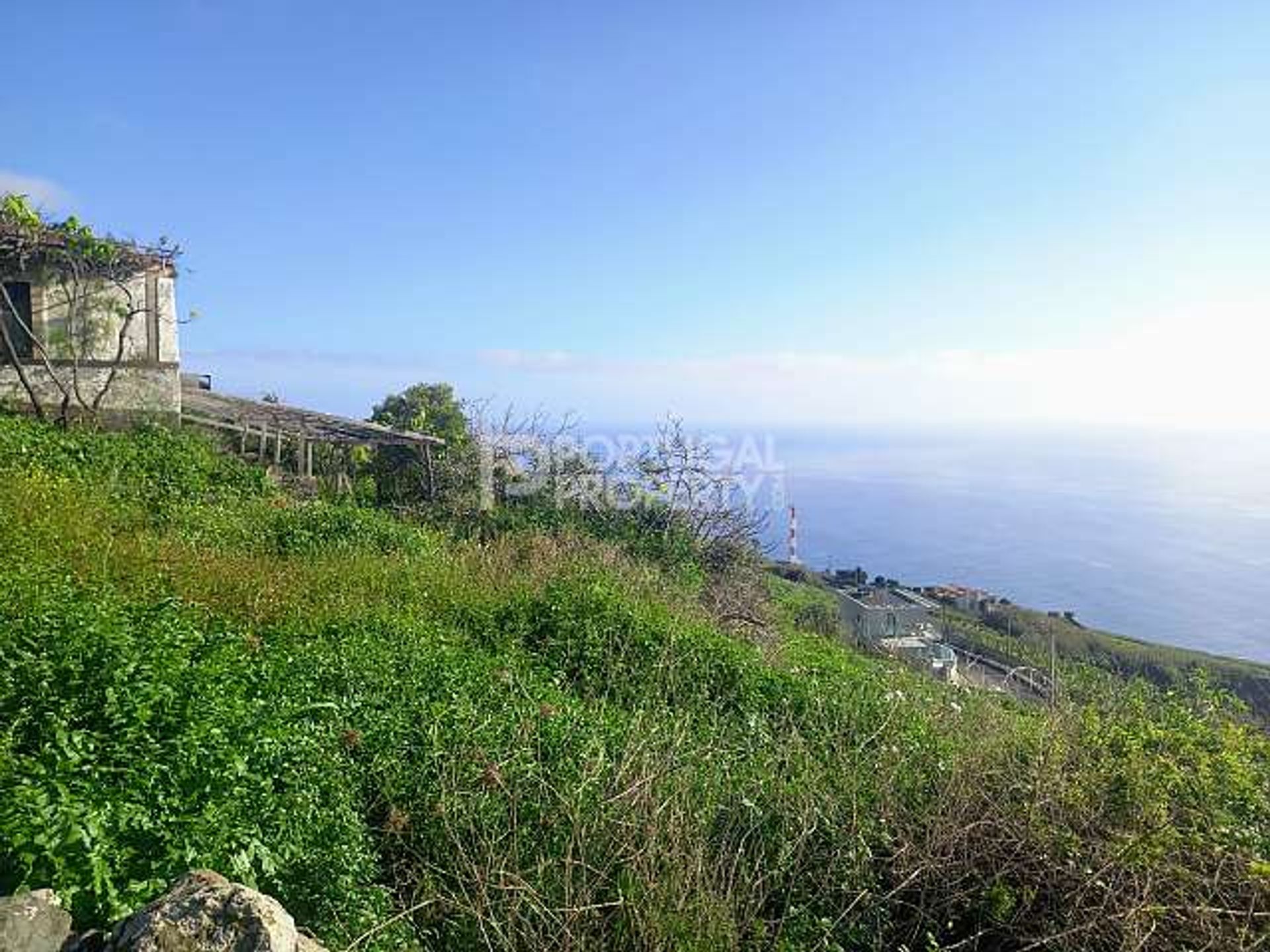 Tanah di Estreito da Calheta, Madeira 11733448