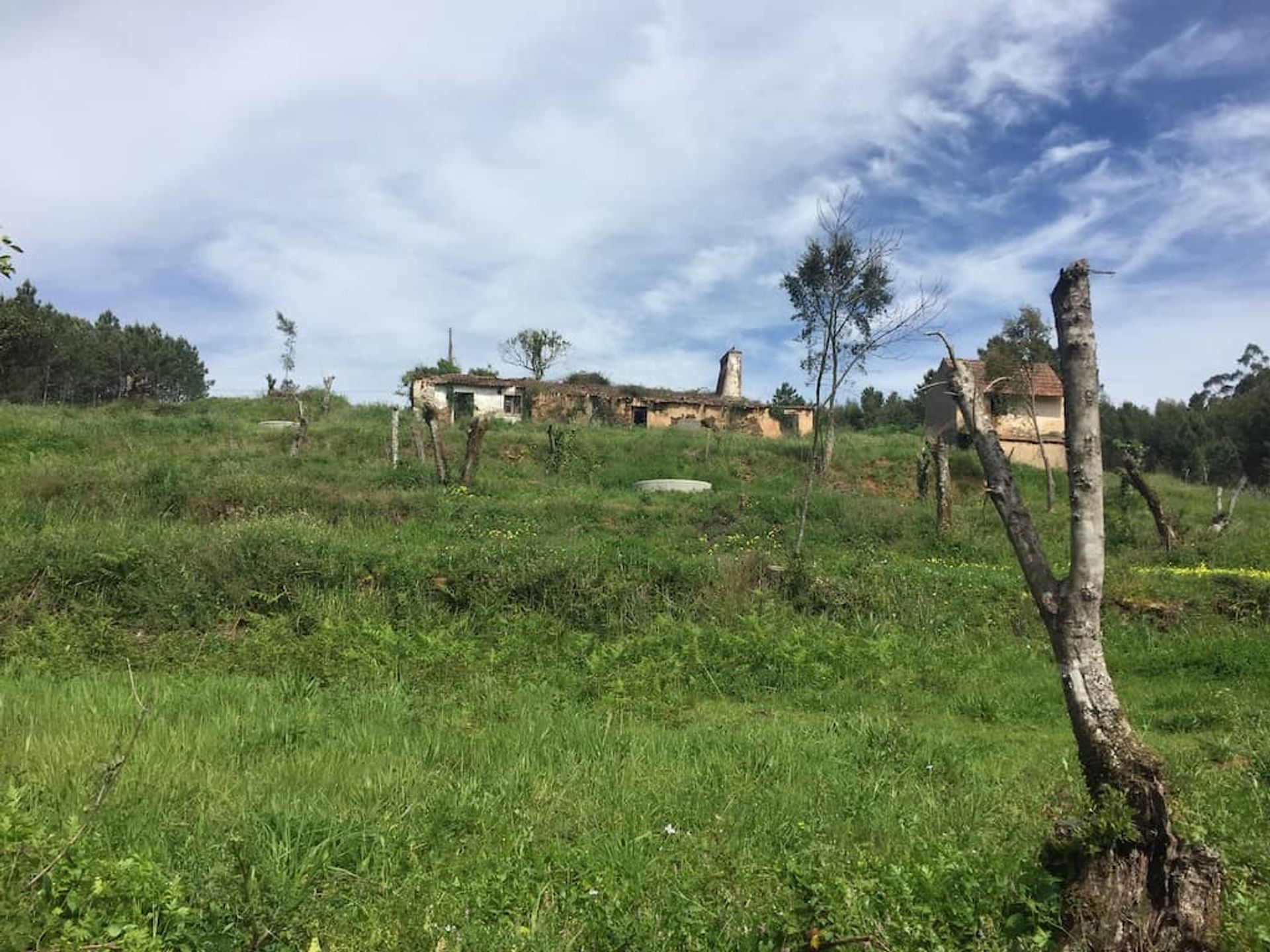 房子 在 Ferreira do Zêzere, Santarém 11733491