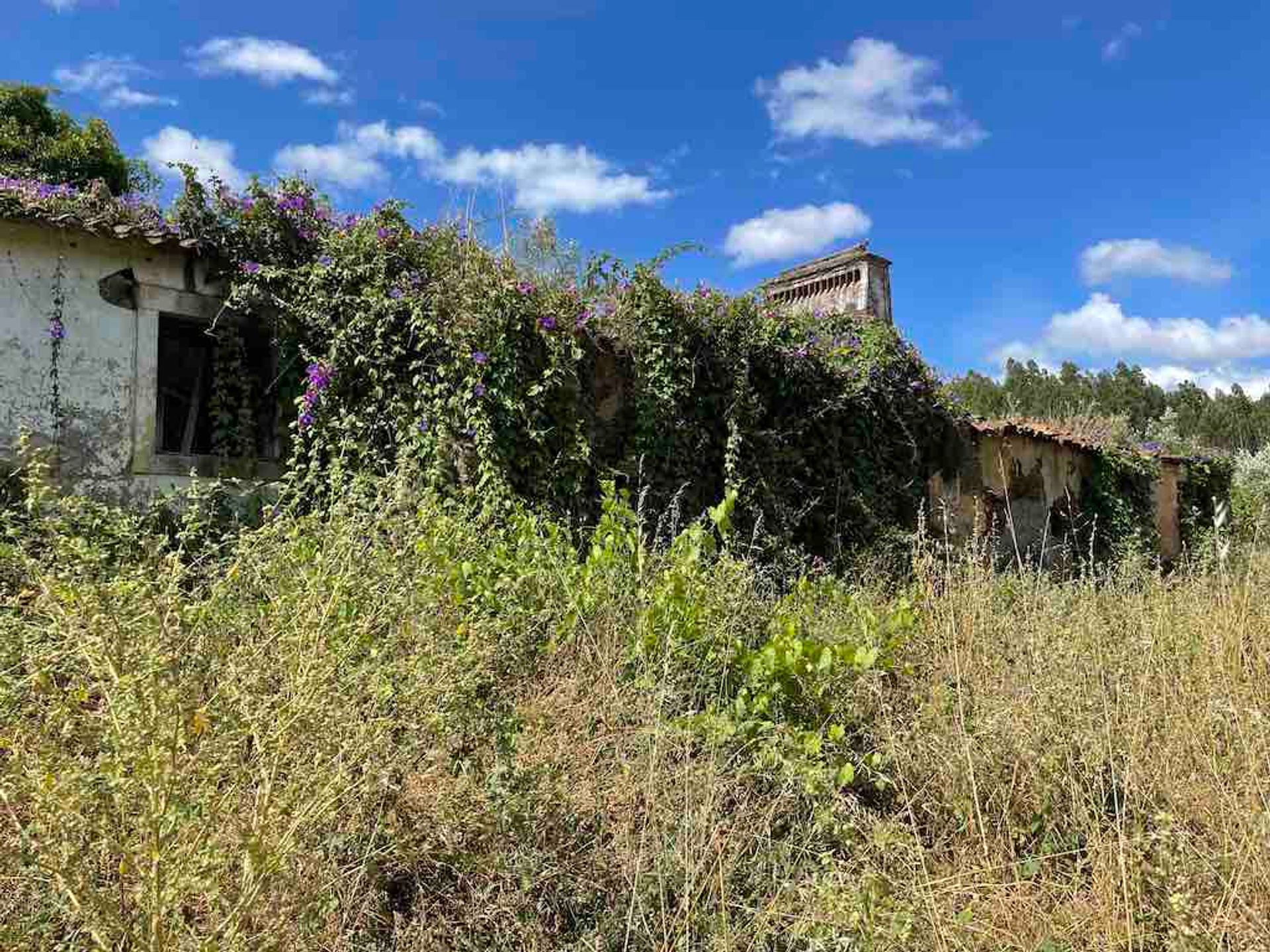 Casa nel Ferreira do Zêzere, Santarém 11733491