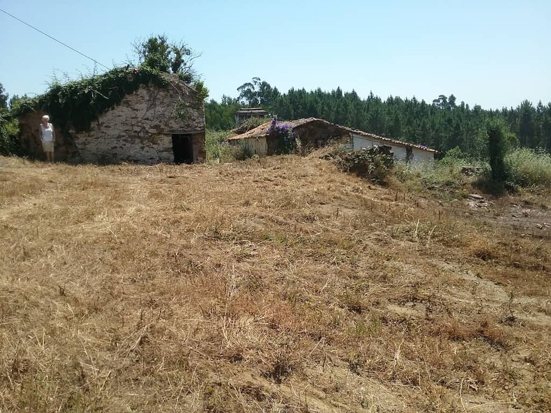 집 에 Ferreira do Zêzere, Santarém 11733491