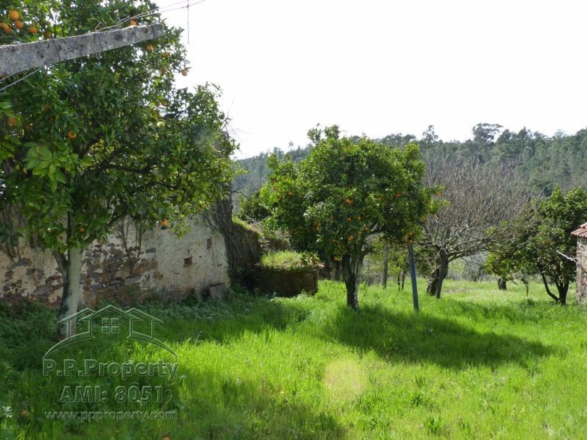 Haus im , Leiria 11733555