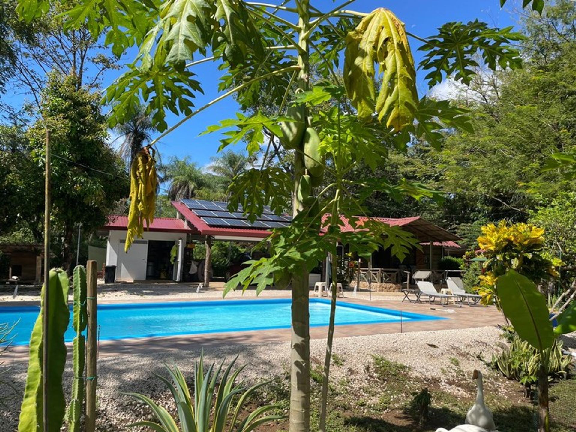 Rumah di , Provincia de Guanacaste 11733606