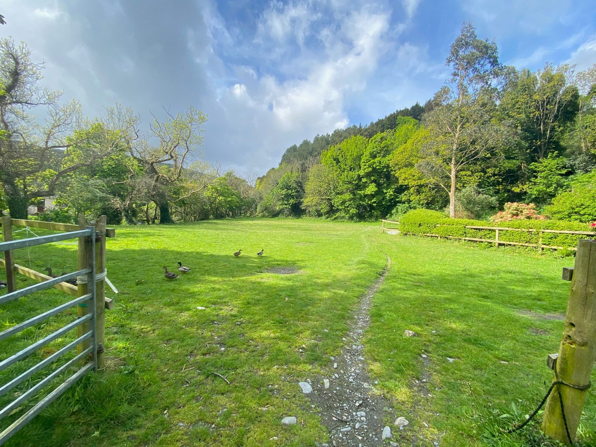 Casa nel Moffat, Dumfries and Galloway 11733628