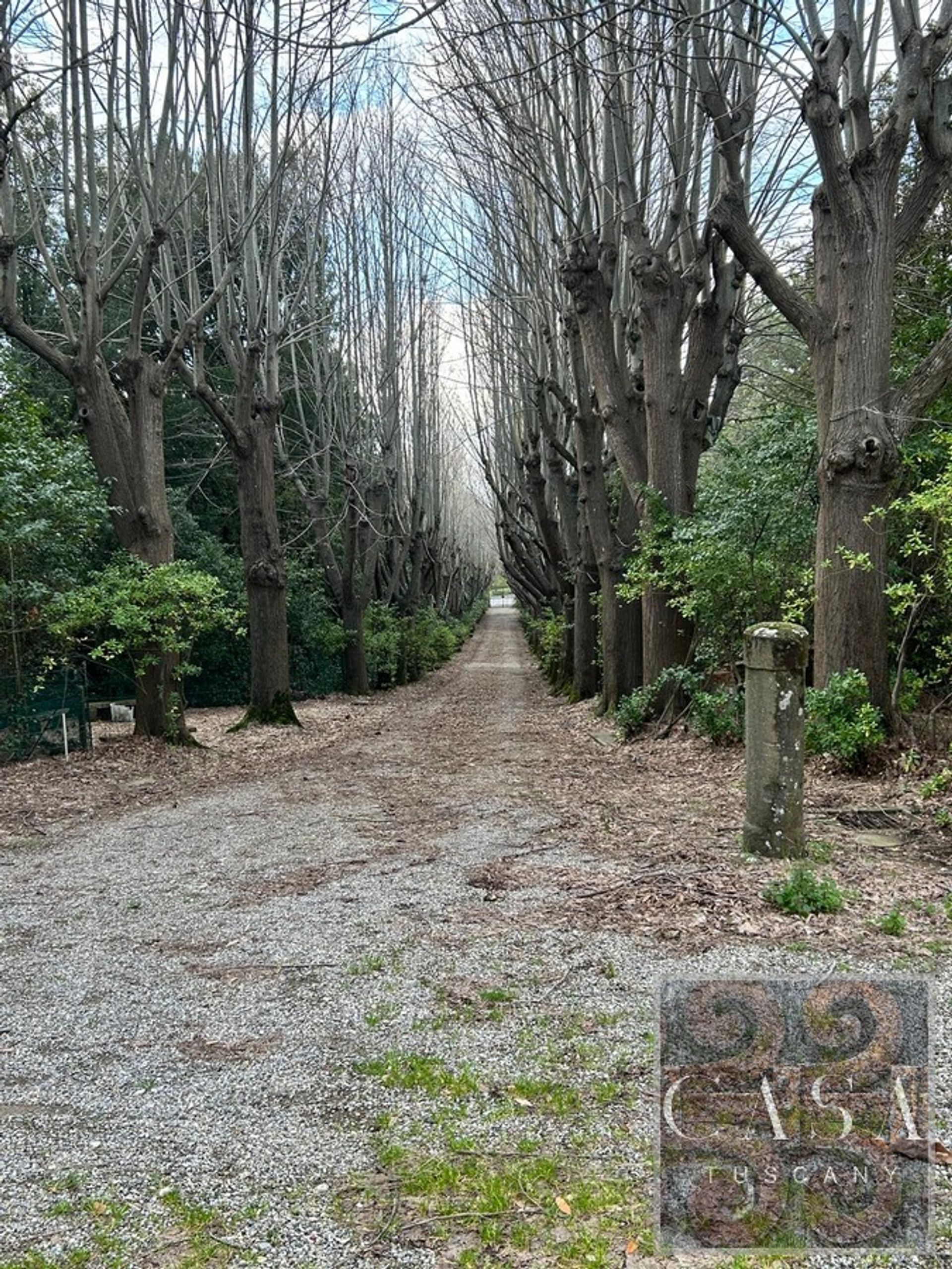 casa en Crespina, Tuscany 11734406