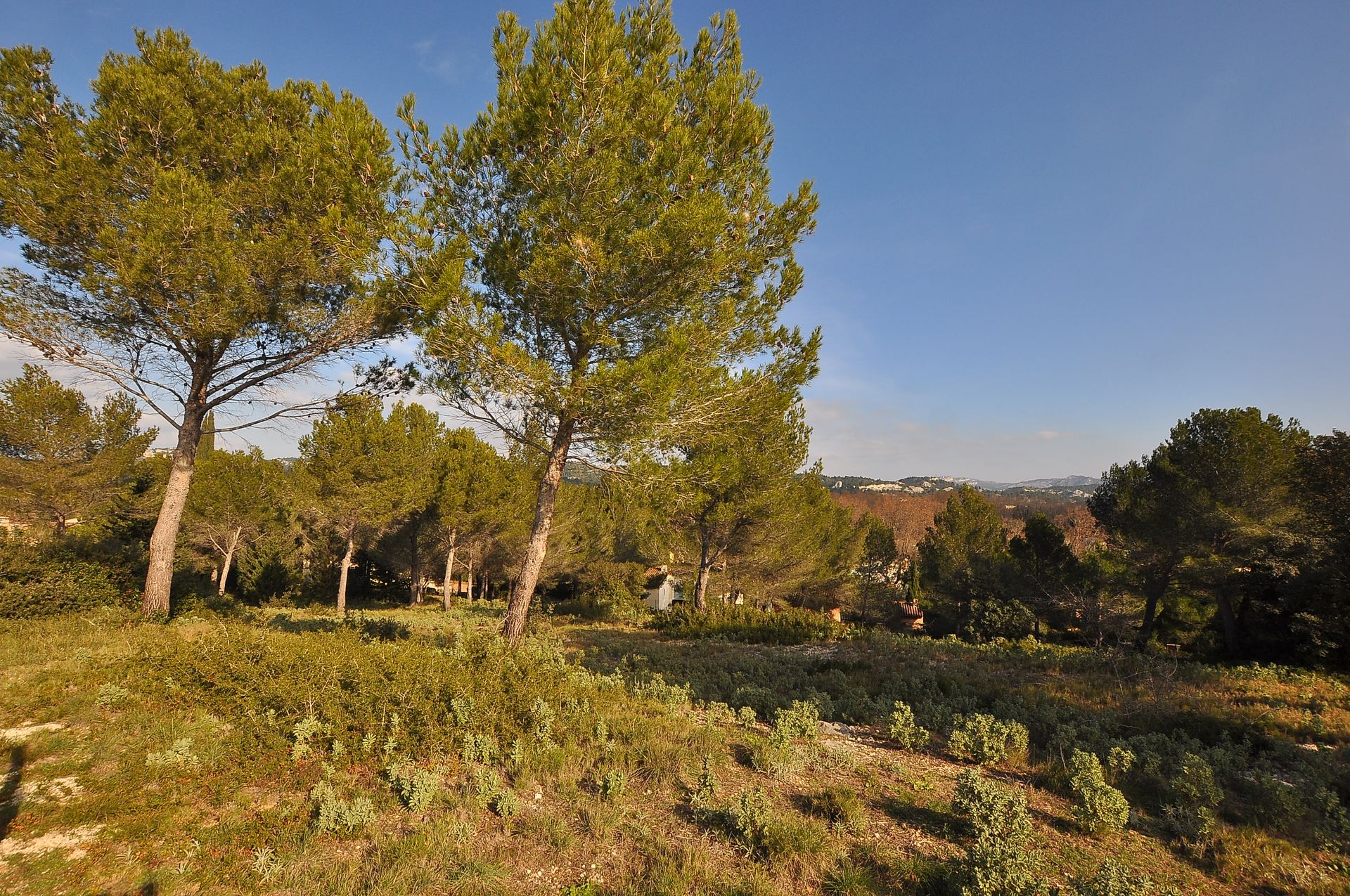 Συγκυριαρχία σε Paradou, Provence-Alpes-Côte d'Azur 11736276