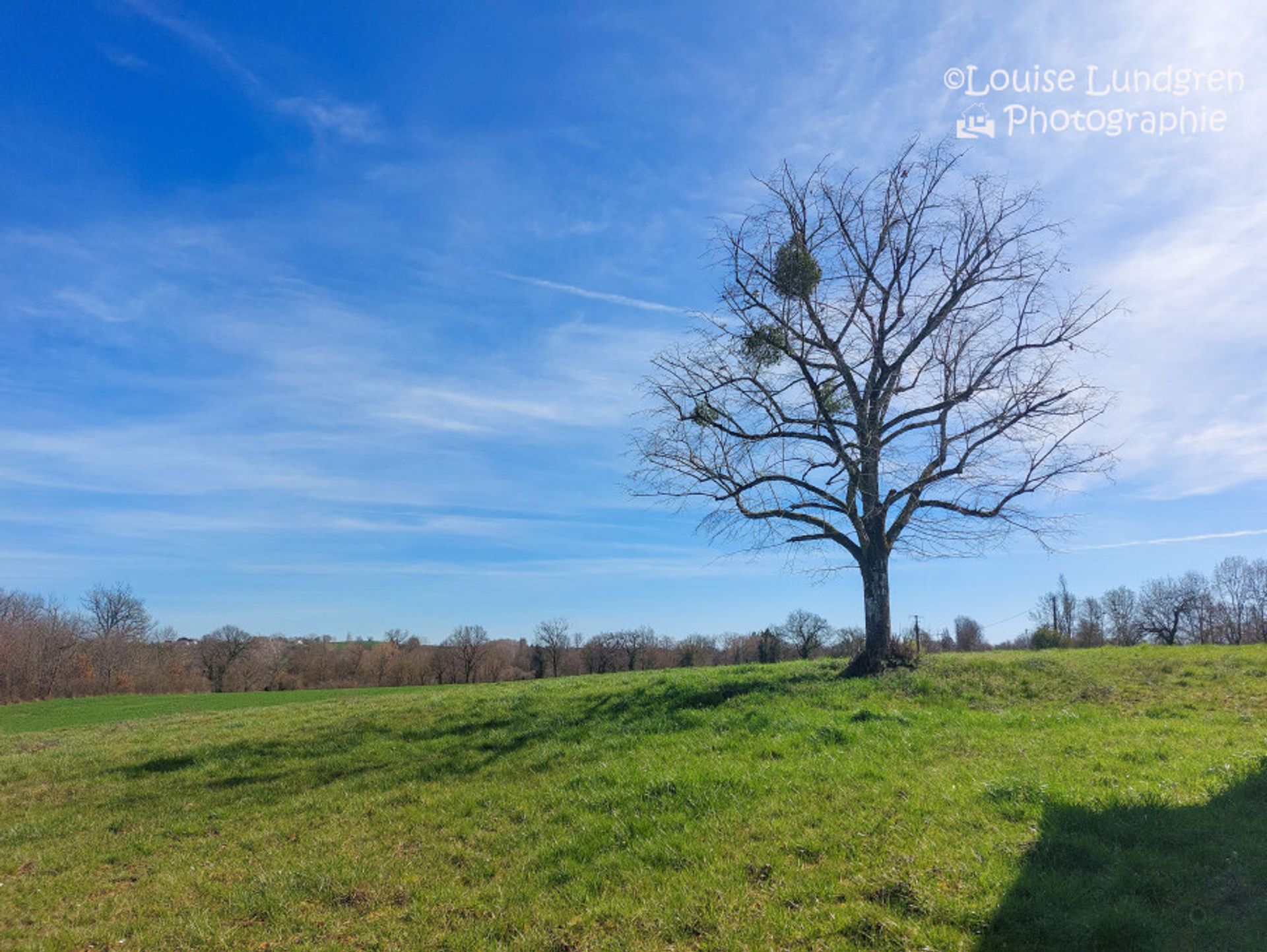 房子 在 Lauzun, Nouvelle-Aquitaine 11736660