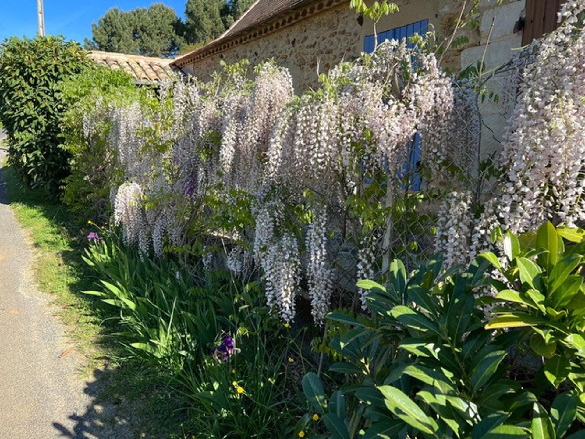 房子 在 Bergerac, Nouvelle-Aquitaine 11736726