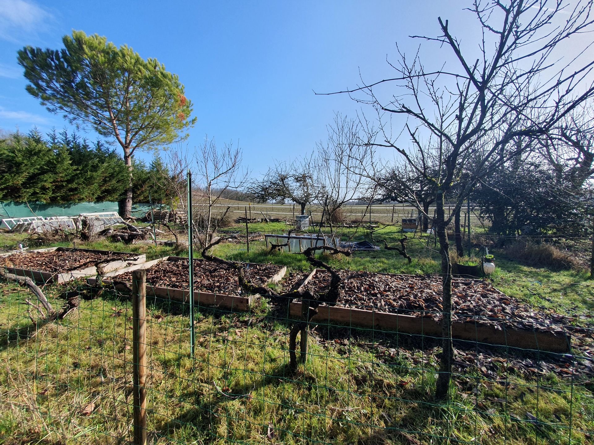 rumah dalam La Sauvetat-du-Dropt, Nouvelle-Aquitaine 11736803