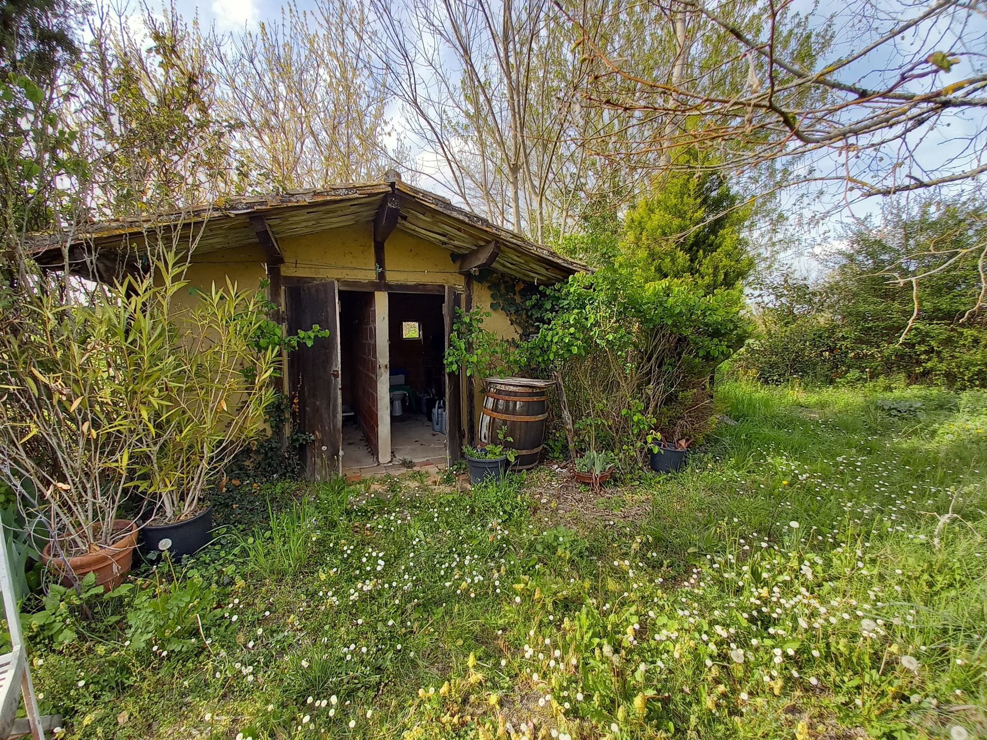 Casa nel Issigeac, Nouvelle-Aquitaine 11736854